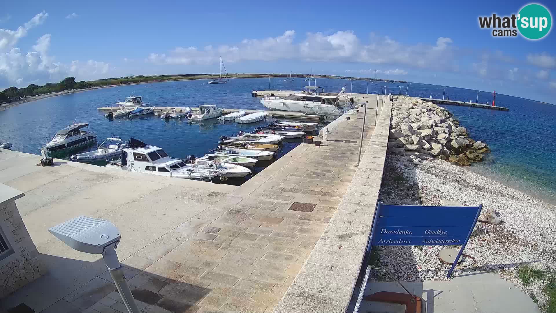 Cámara web de la isla de Unije: explore la belleza de la joya escondida de Croacia