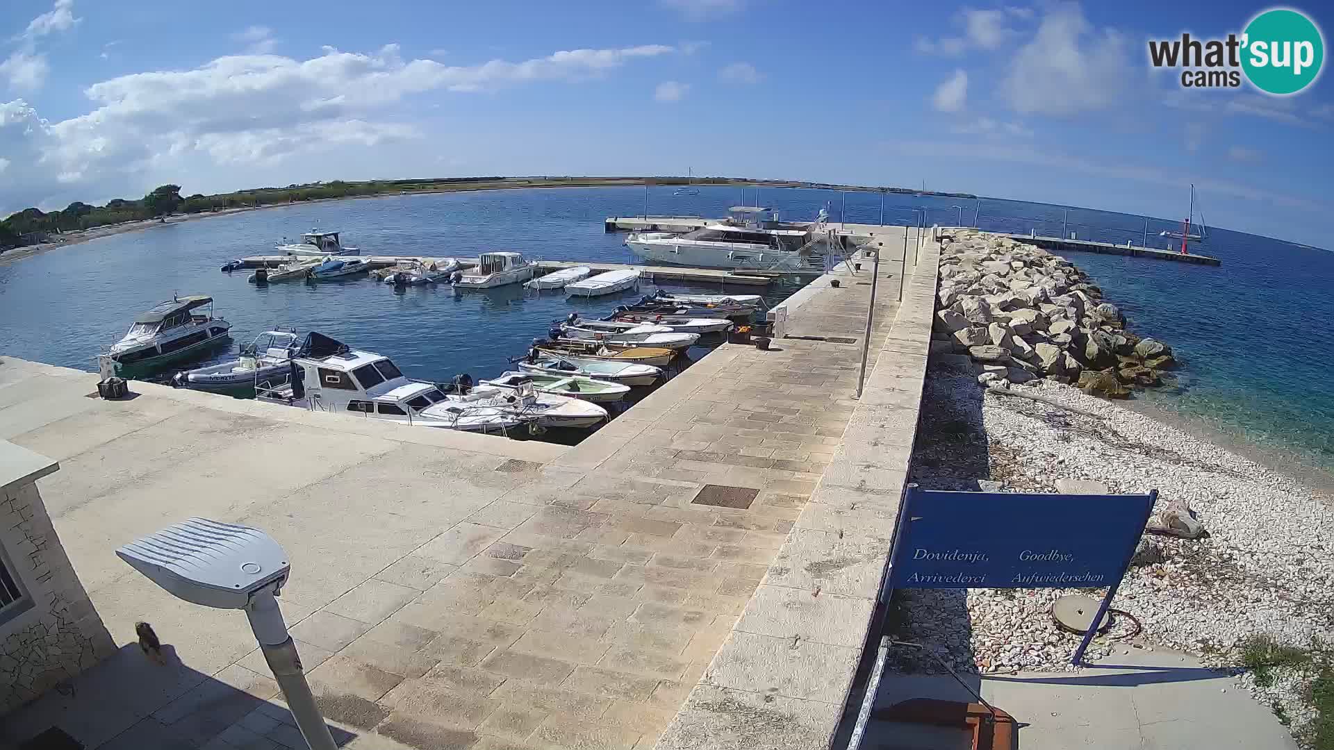 Webcam Isola di Unije – Esplora la bellezza della gemma nascosta della Croazia