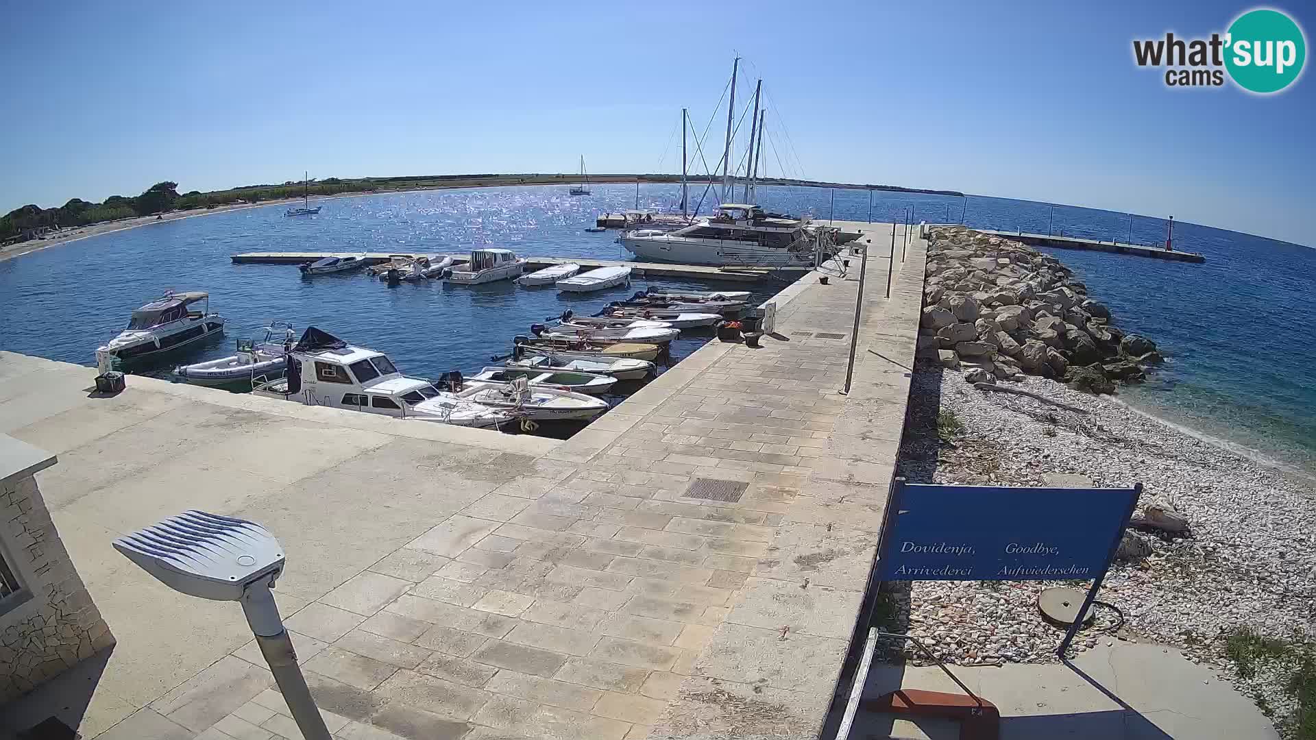 Cámara web de la isla de Unije: explore la belleza de la joya escondida de Croacia