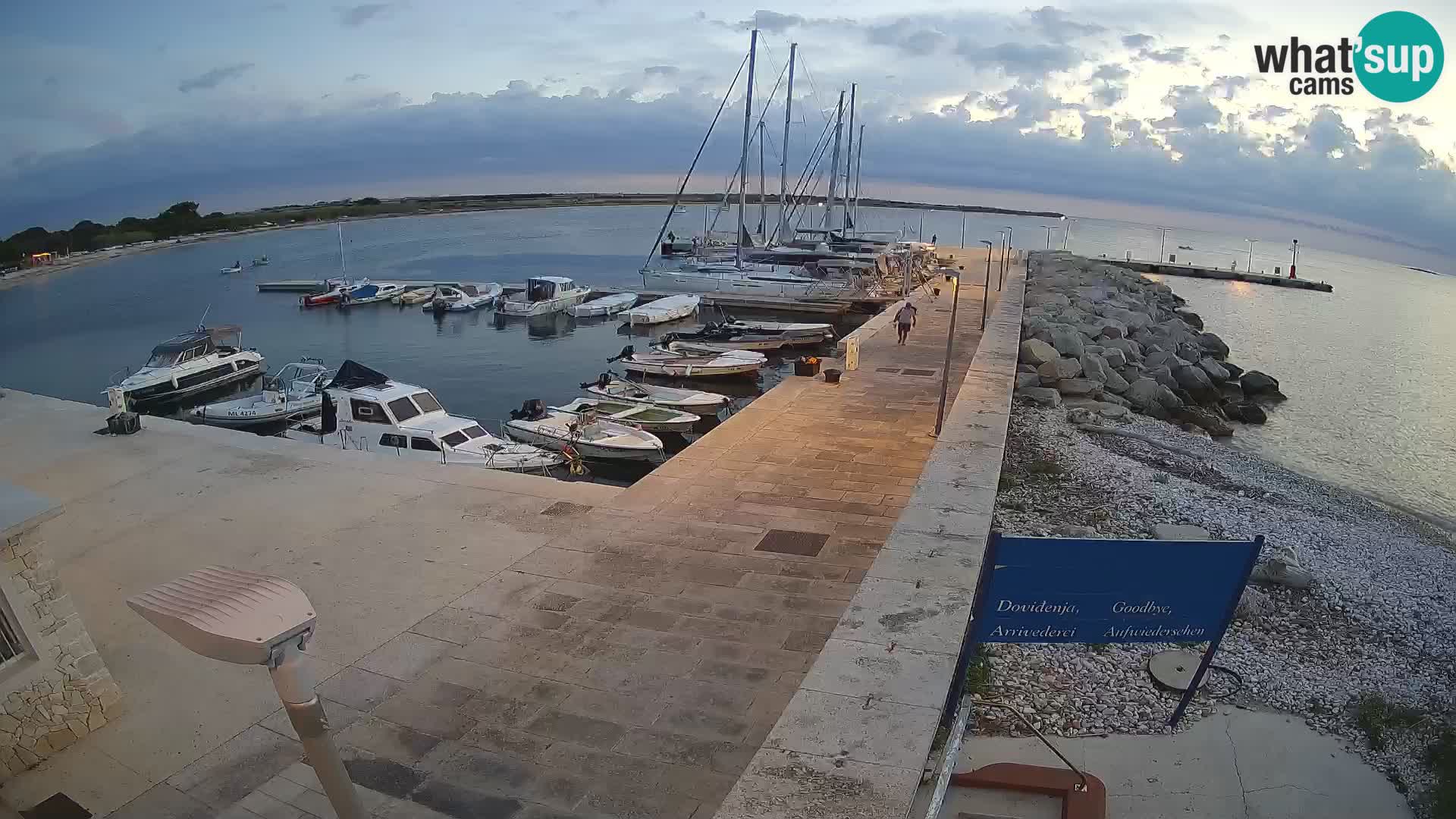 Cámara web de la isla de Unije: explore la belleza de la joya escondida de Croacia