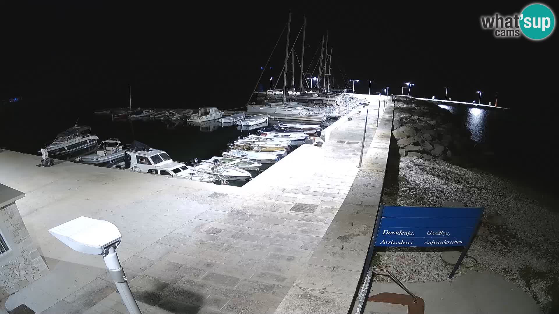 Webcam de l’île d’Unije – Explorez la beauté du joyau caché de la Croatie