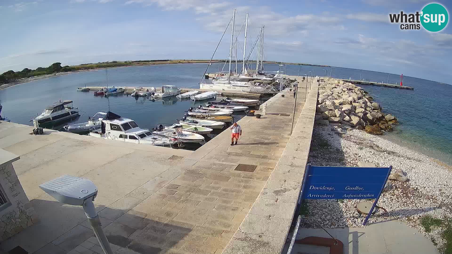 Cámara web de la isla de Unije: explore la belleza de la joya escondida de Croacia