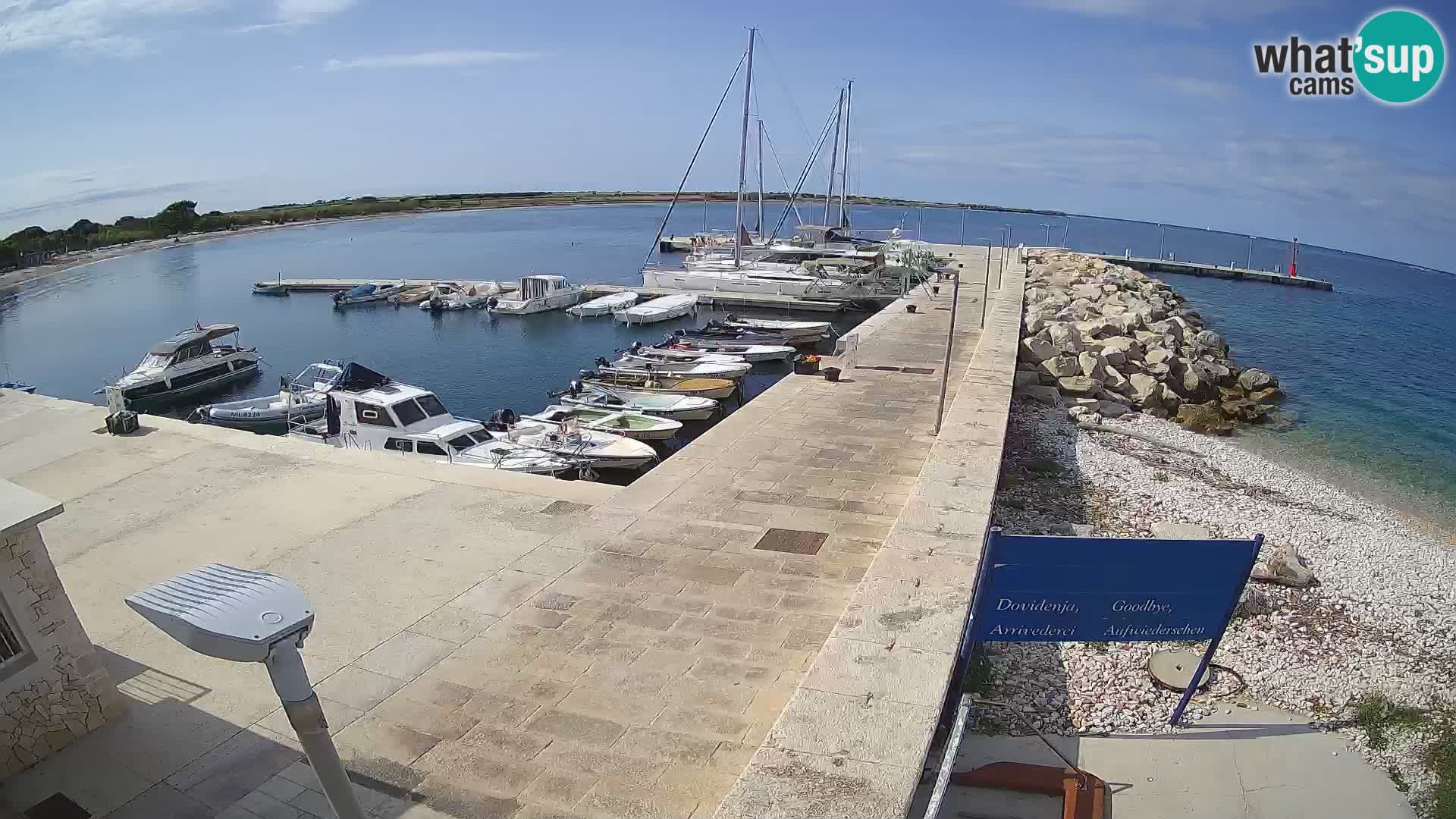Webcam Isola di Unije – Esplora la bellezza della gemma nascosta della Croazia
