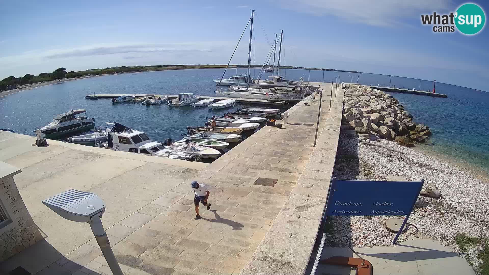 Webcam de l’île d’Unije – Explorez la beauté du joyau caché de la Croatie