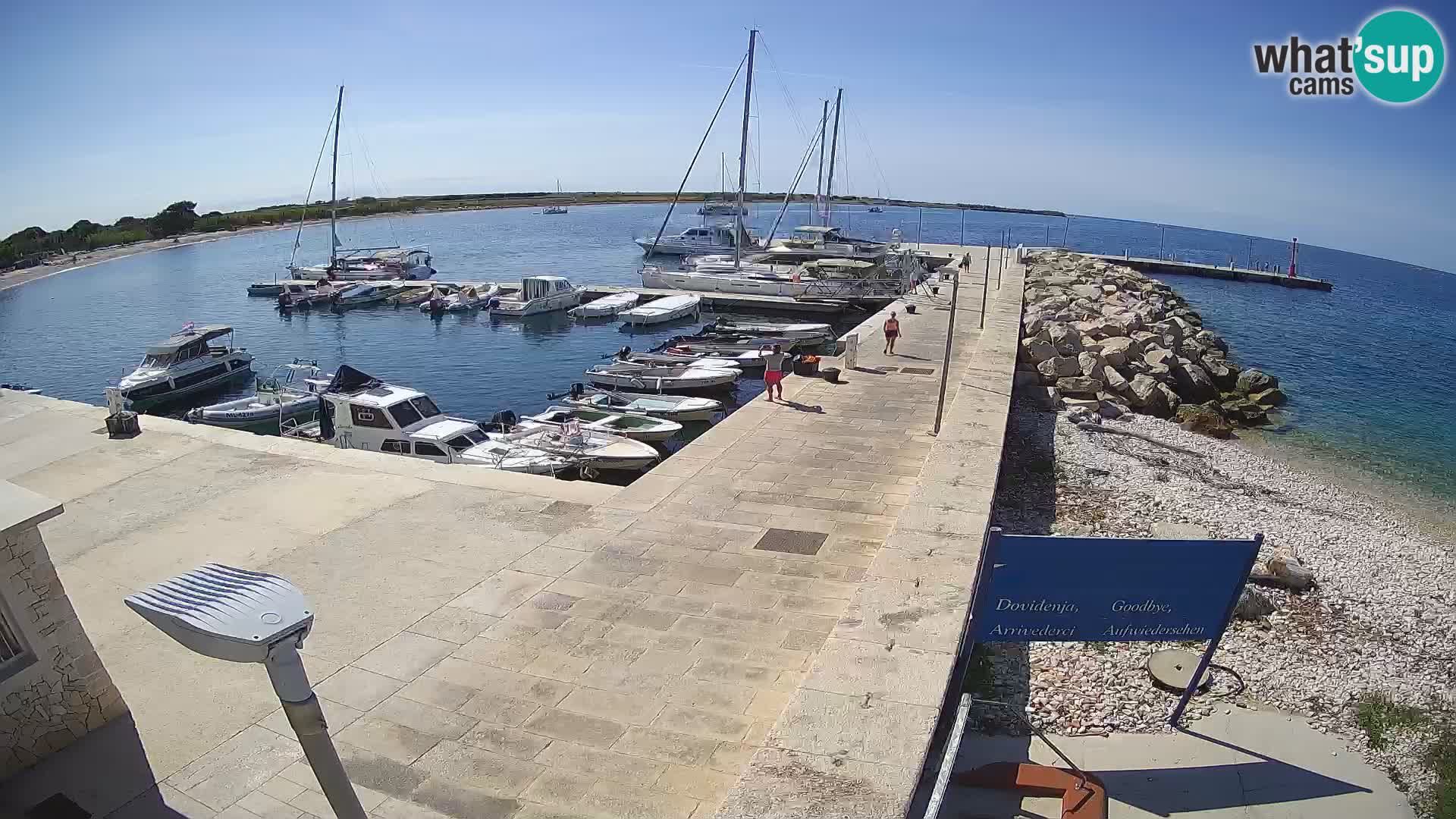 Cámara web de la isla de Unije: explore la belleza de la joya escondida de Croacia