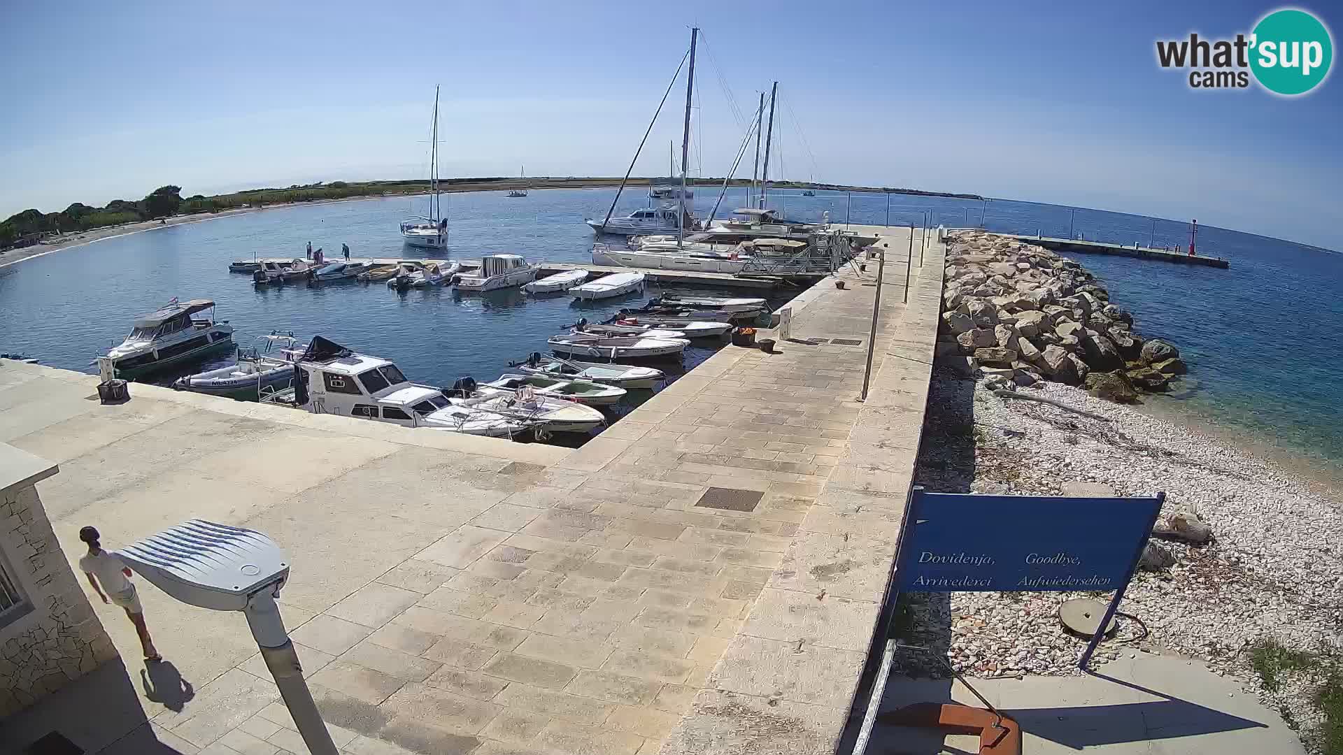 Webcam de l’île d’Unije – Explorez la beauté du joyau caché de la Croatie