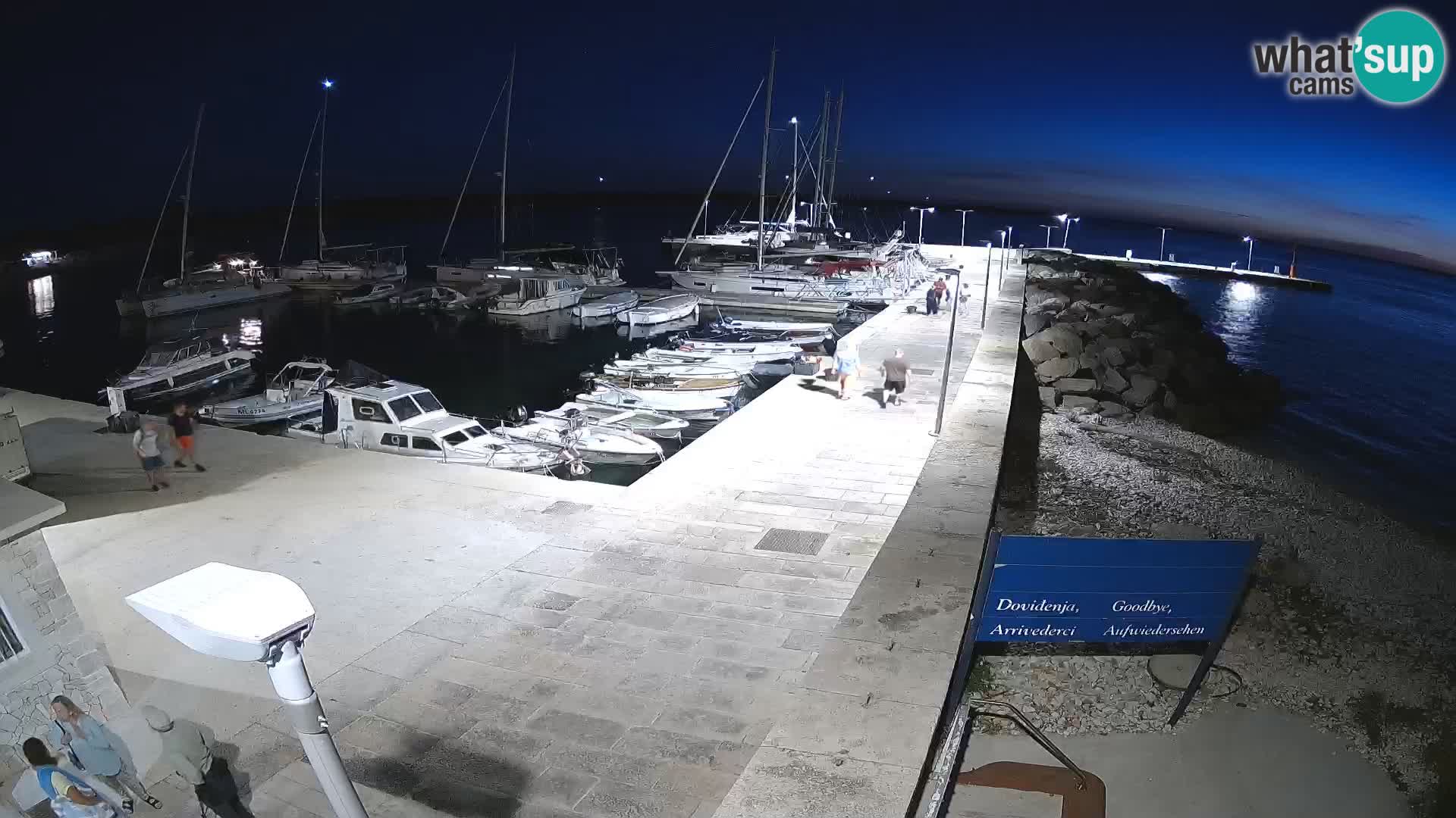 Webcam de l’île d’Unije – Explorez la beauté du joyau caché de la Croatie