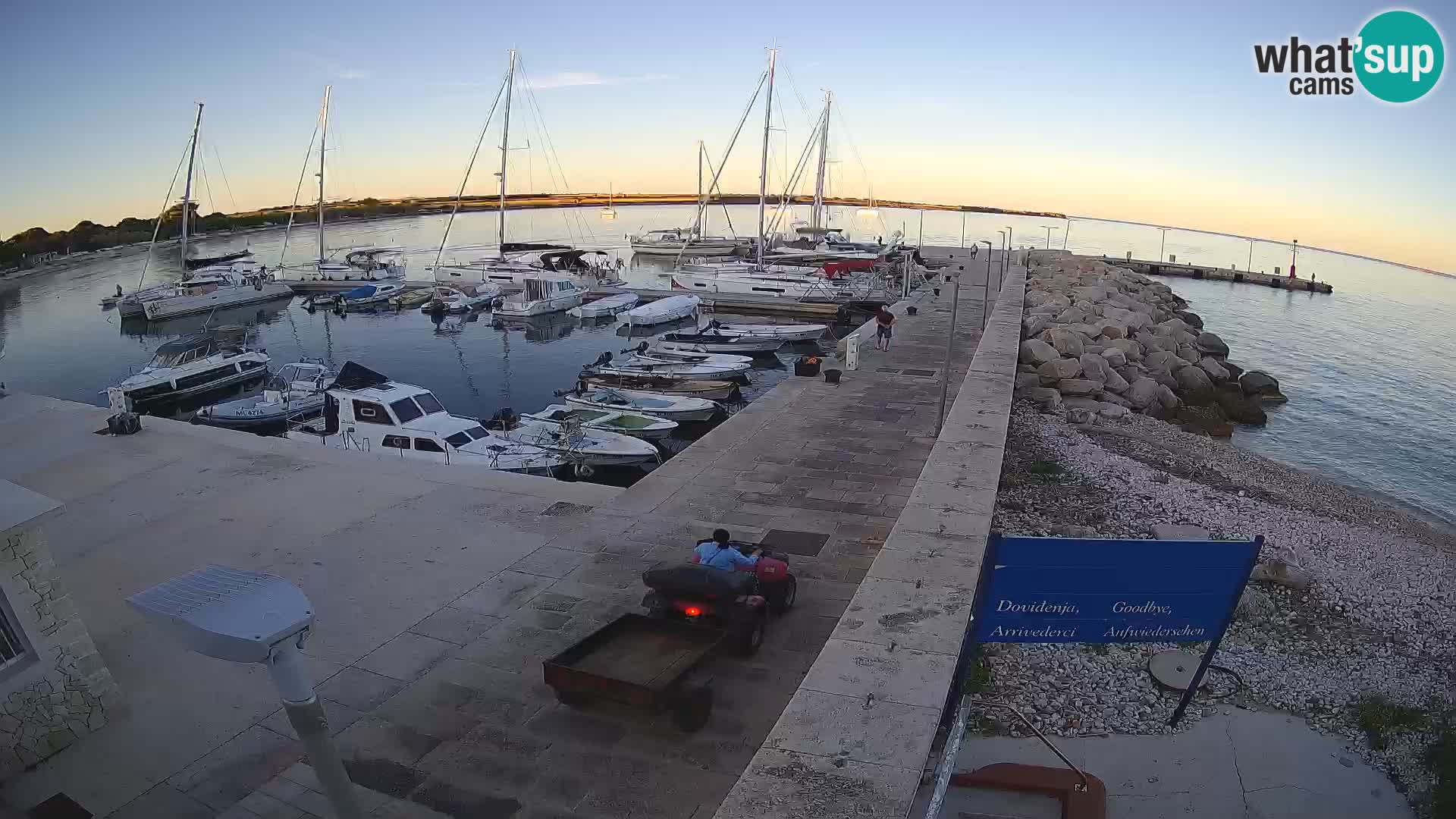 Cámara web de la isla de Unije: explore la belleza de la joya escondida de Croacia