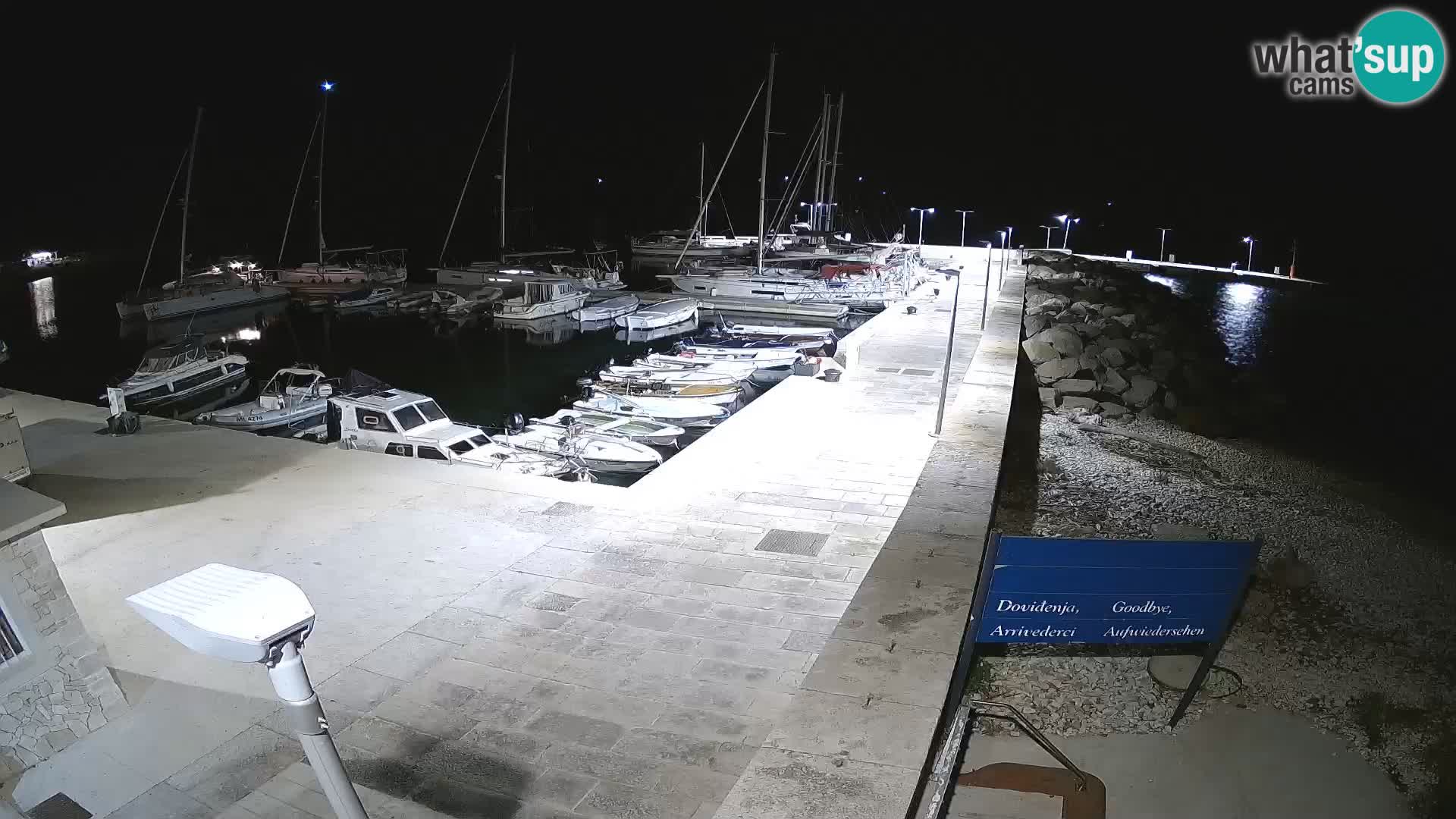 Cámara web de la isla de Unije: explore la belleza de la joya escondida de Croacia