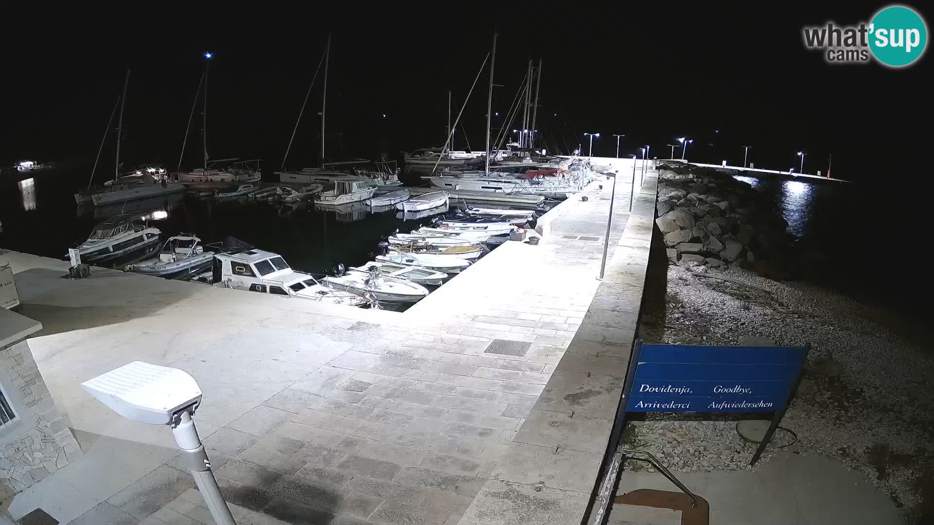 Cámara web de la isla de Unije: explore la belleza de la joya escondida de Croacia