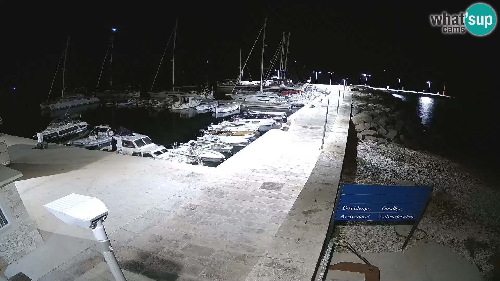 Cámara web de la isla de Unije: explore la belleza de la joya escondida de Croacia