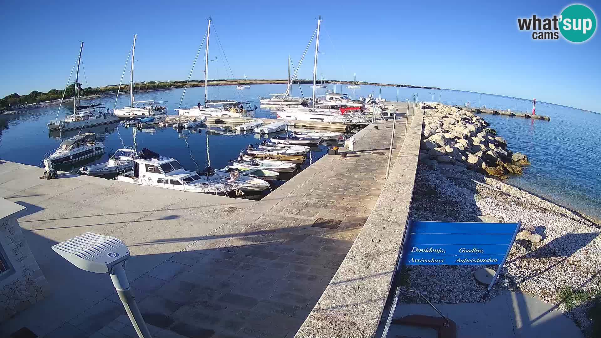 Cámara web de la isla de Unije: explore la belleza de la joya escondida de Croacia