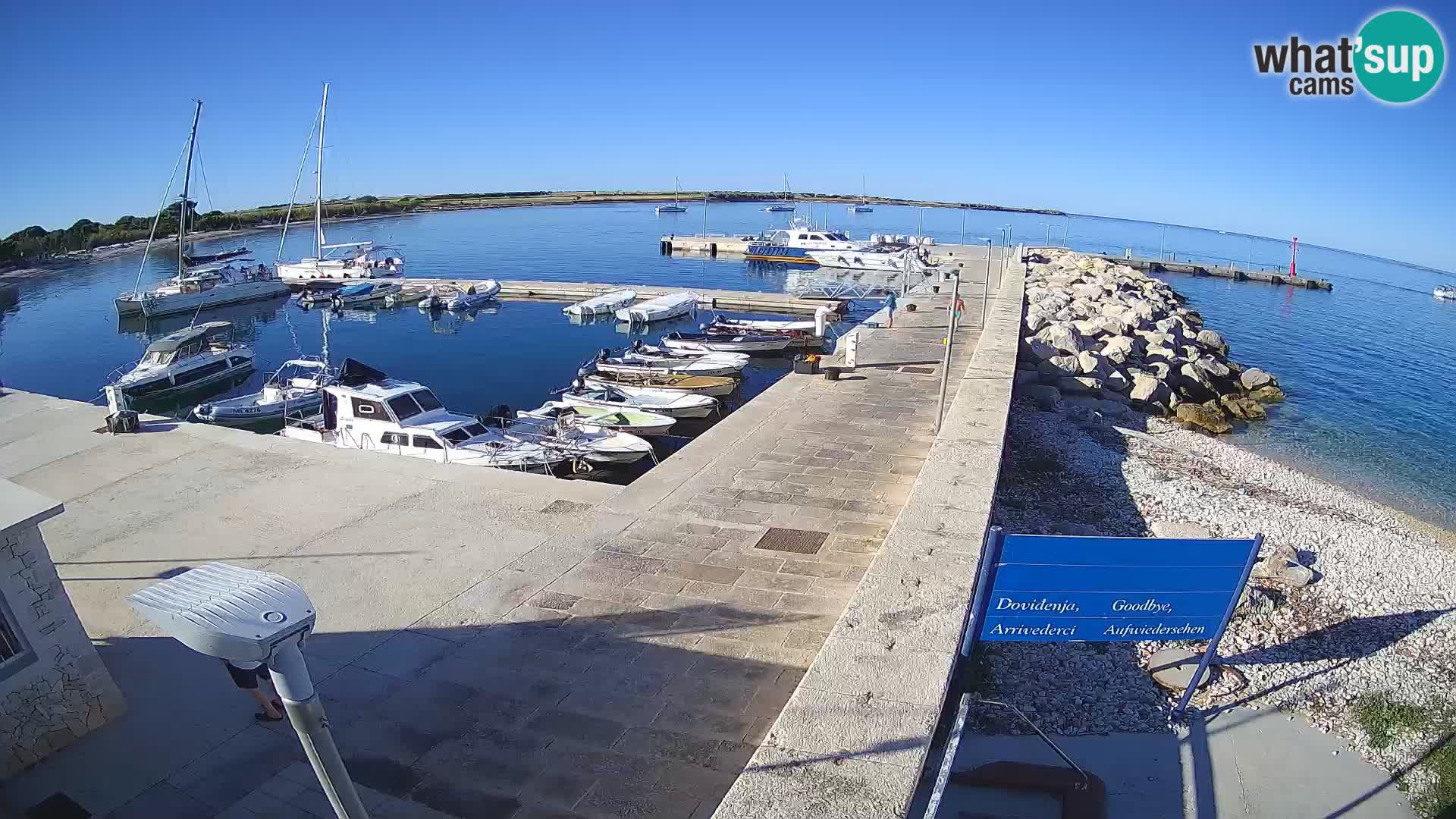 Cámara web de la isla de Unije: explore la belleza de la joya escondida de Croacia