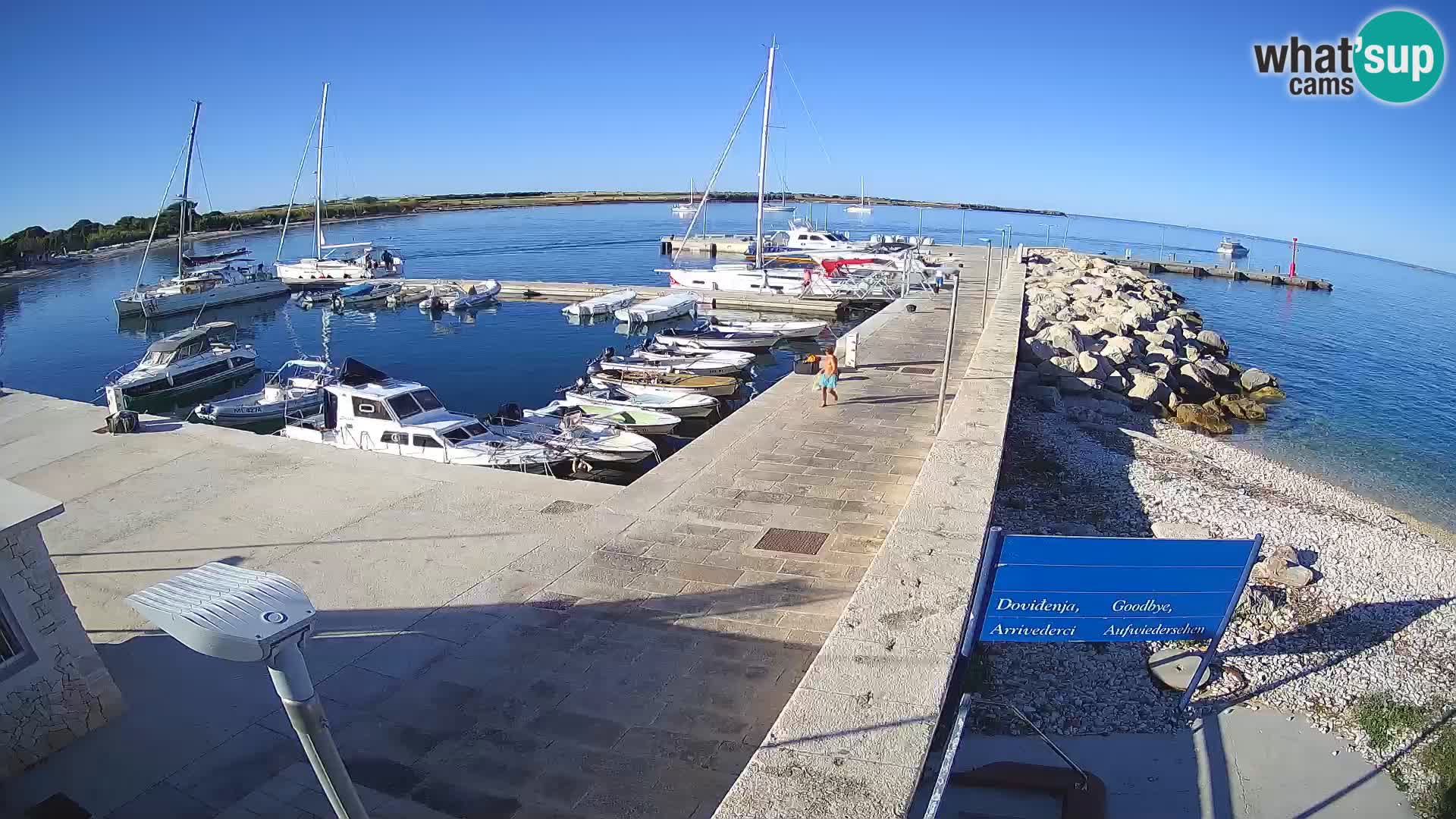 Cámara web de la isla de Unije: explore la belleza de la joya escondida de Croacia