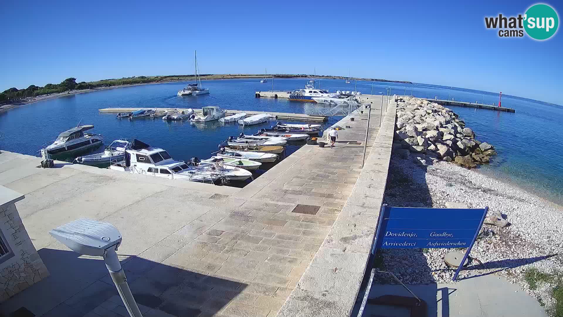 Webcam de l’île d’Unije – Explorez la beauté du joyau caché de la Croatie