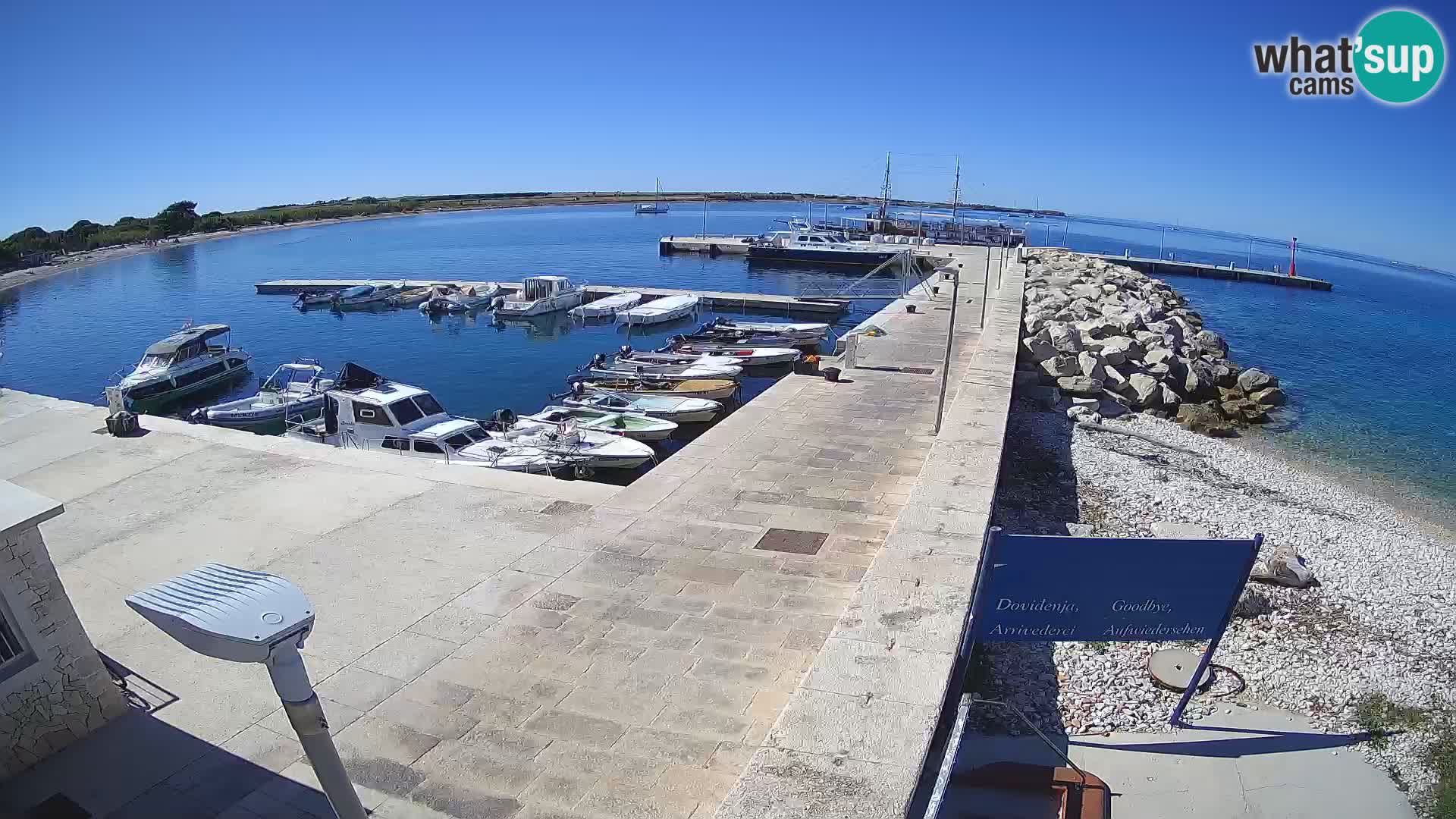 Cámara web de la isla de Unije: explore la belleza de la joya escondida de Croacia