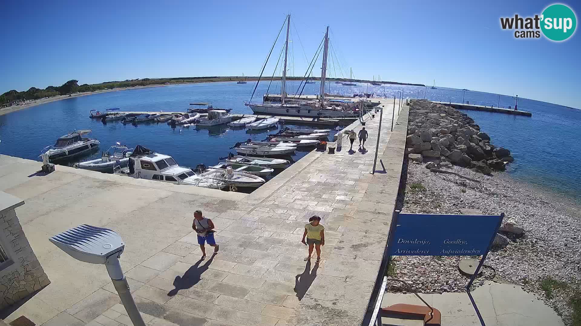 Cámara web de la isla de Unije: explore la belleza de la joya escondida de Croacia