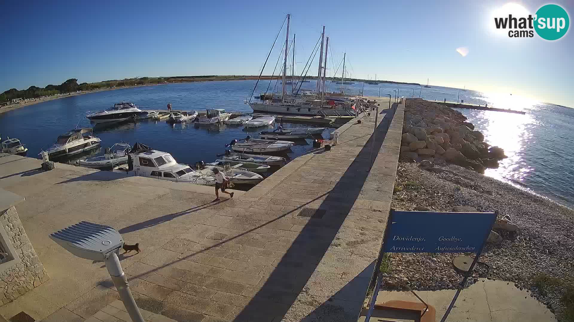 Webcam de l’île d’Unije – Explorez la beauté du joyau caché de la Croatie