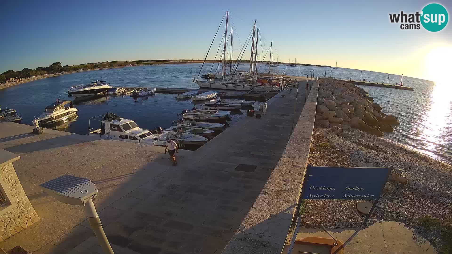 Cámara web de la isla de Unije: explore la belleza de la joya escondida de Croacia