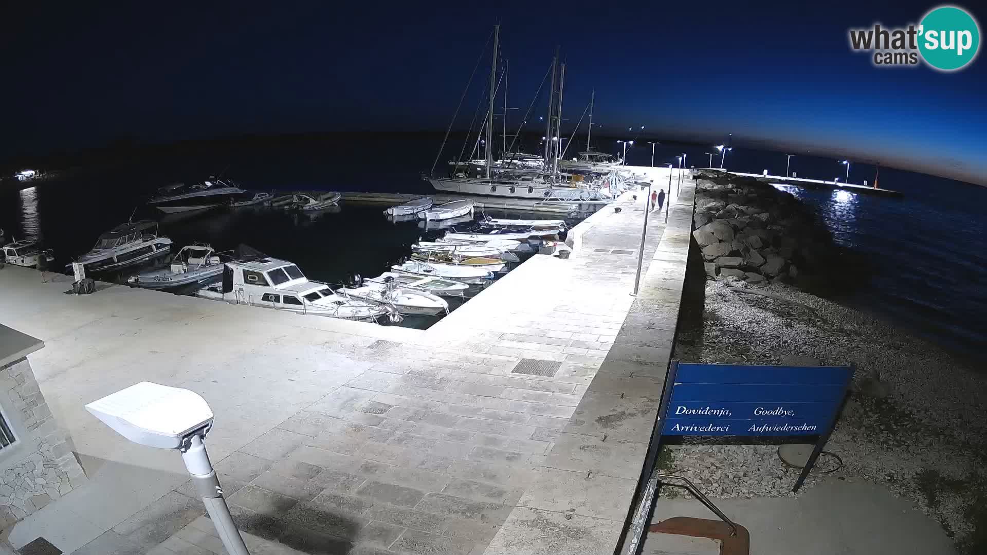 Cámara web de la isla de Unije: explore la belleza de la joya escondida de Croacia