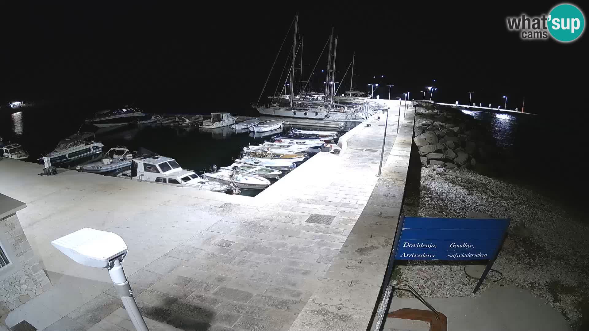 Cámara web de la isla de Unije: explore la belleza de la joya escondida de Croacia