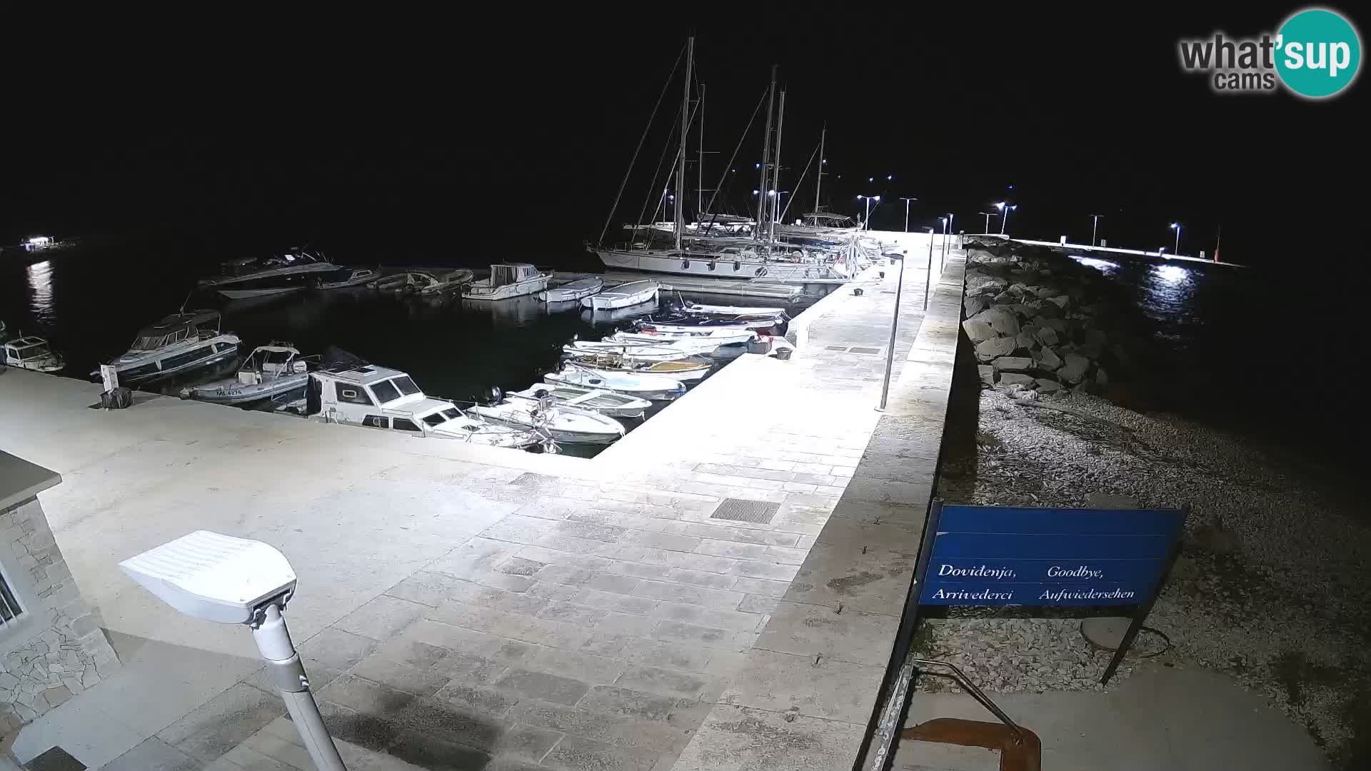 Cámara web de la isla de Unije: explore la belleza de la joya escondida de Croacia