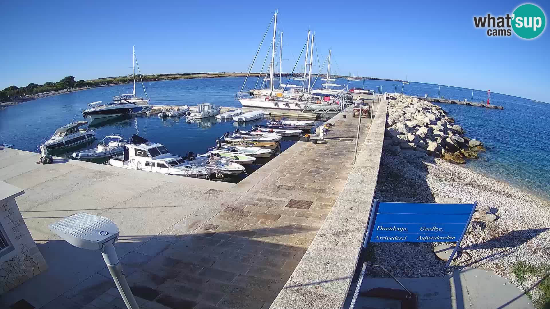 Cámara web de la isla de Unije: explore la belleza de la joya escondida de Croacia