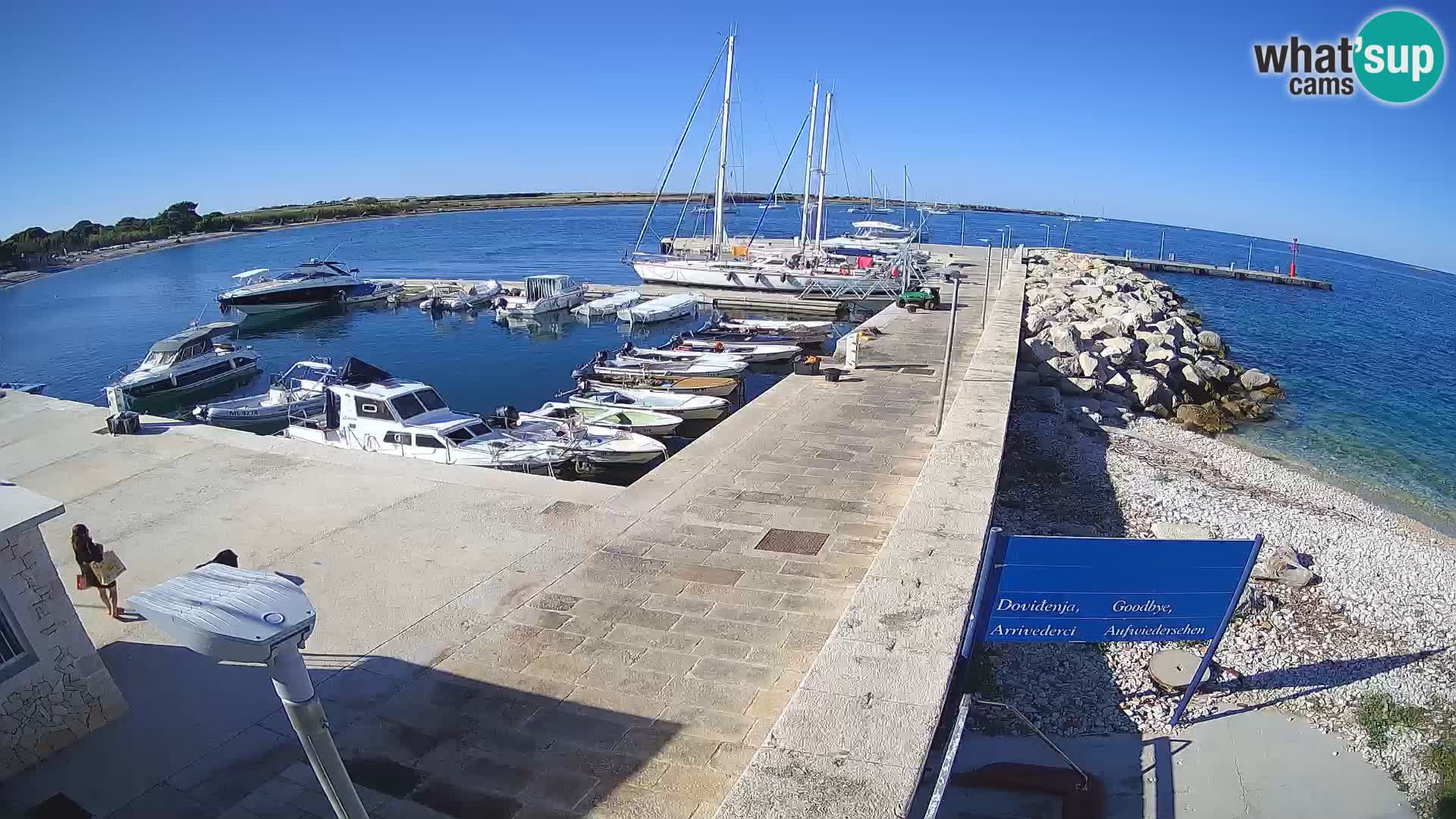 Insel Unije Webcam – Entdecken Sie die Schönheit von Kroatiens verstecktem Juwel