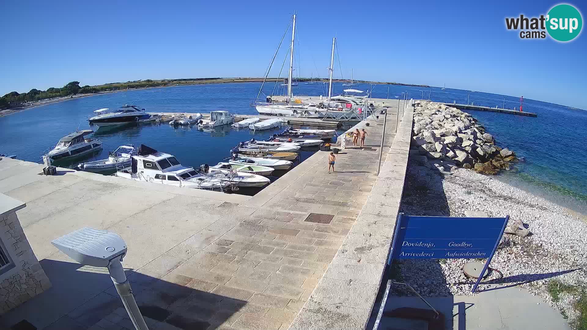 Webcam Isola di Unije – Esplora la bellezza della gemma nascosta della Croazia