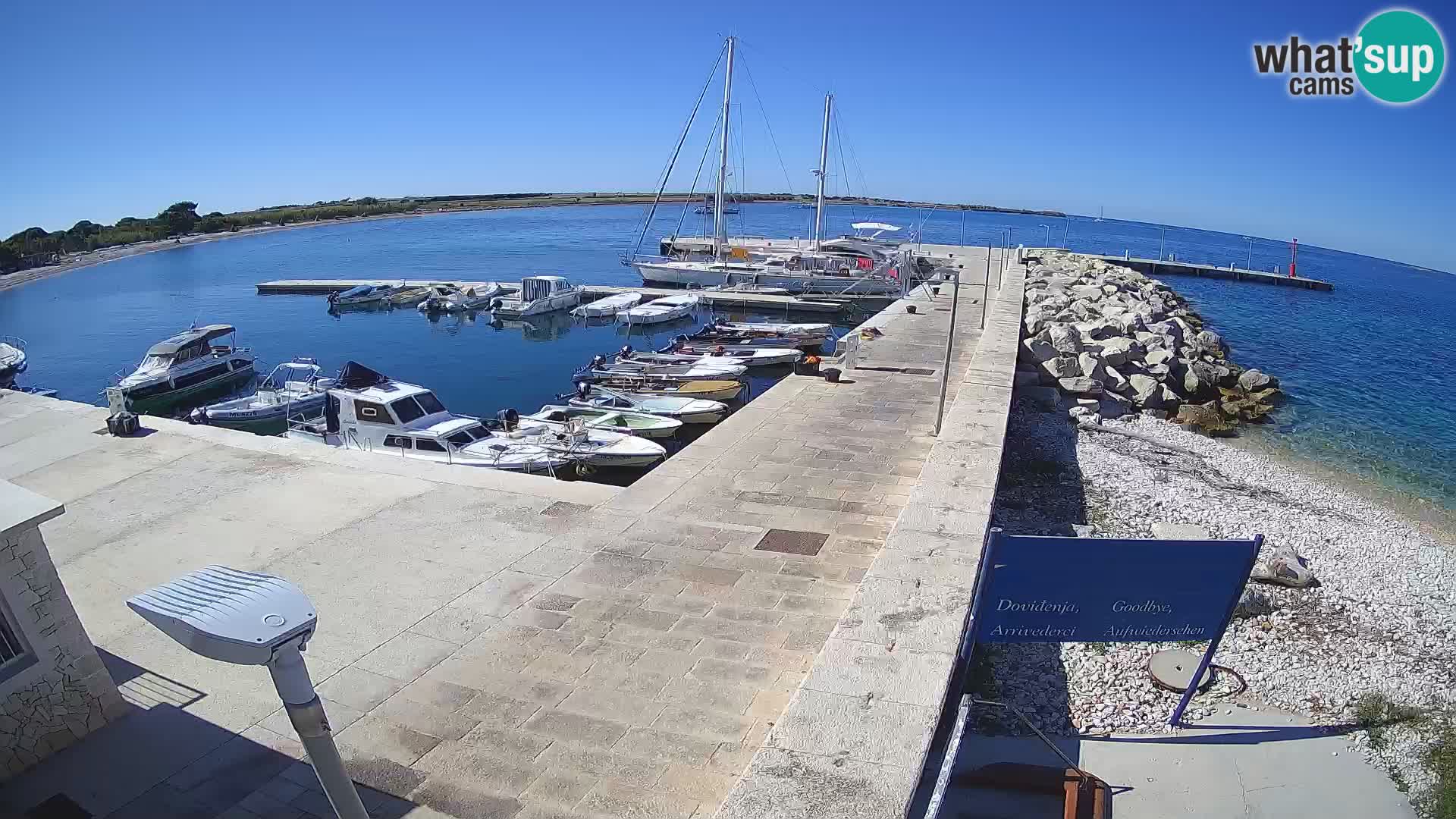 Cámara web de la isla de Unije: explore la belleza de la joya escondida de Croacia