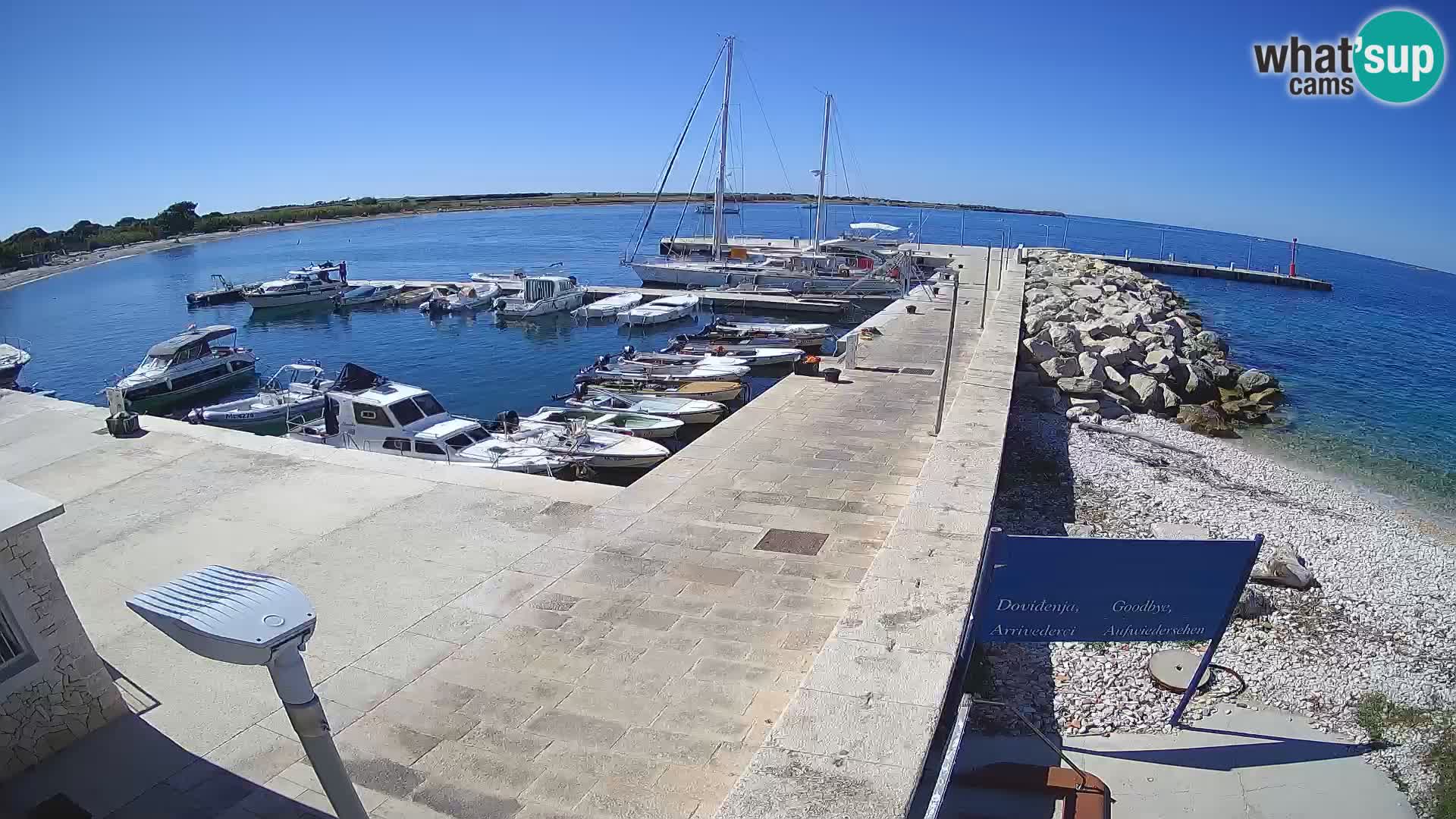 Webcam de l’île d’Unije – Explorez la beauté du joyau caché de la Croatie
