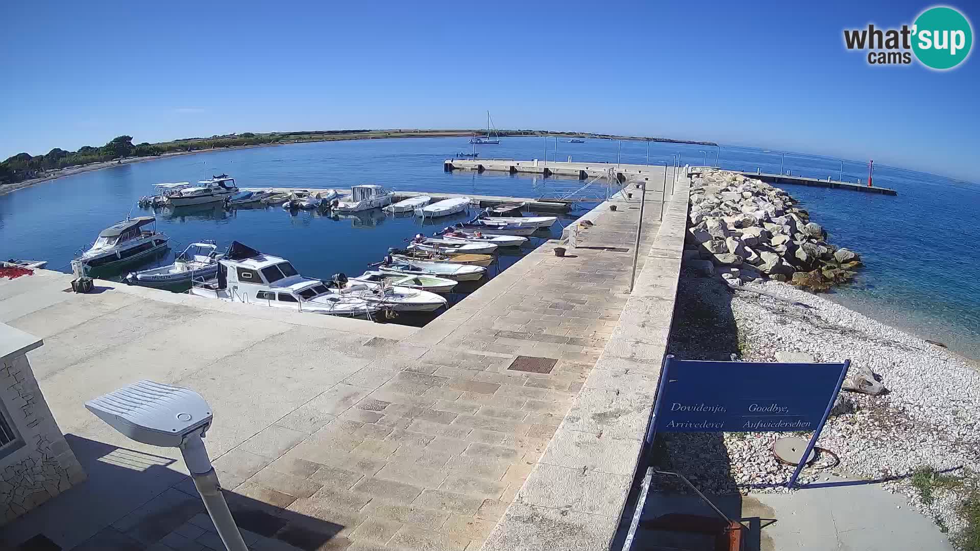 Webcam de l’île d’Unije – Explorez la beauté du joyau caché de la Croatie