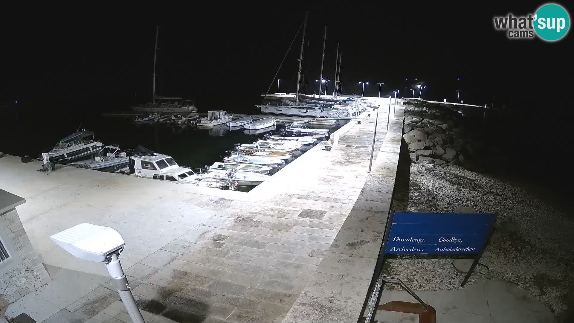 Cámara web de la isla de Unije: explore la belleza de la joya escondida de Croacia