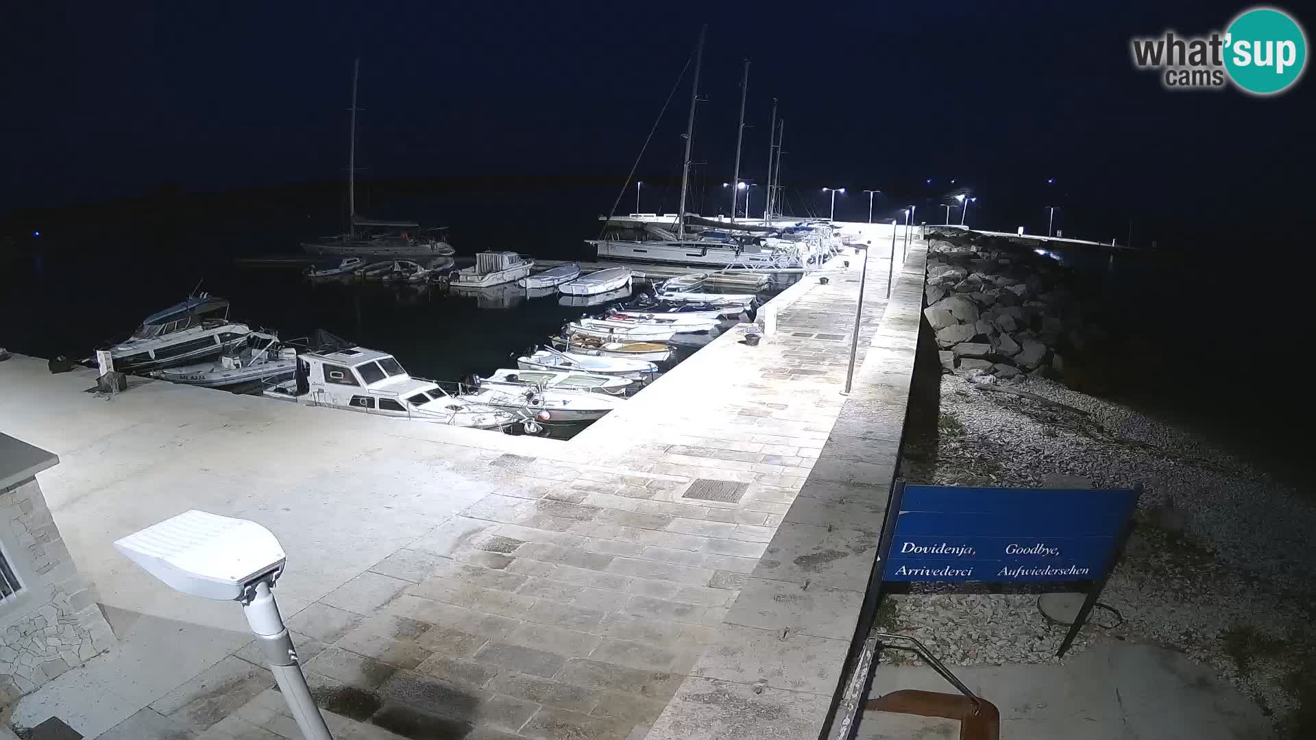 Cámara web de la isla de Unije: explore la belleza de la joya escondida de Croacia