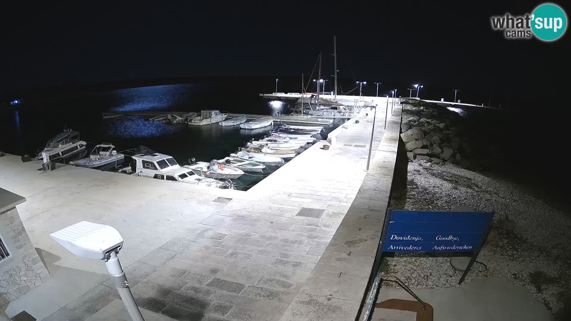 Cámara web de la isla de Unije: explore la belleza de la joya escondida de Croacia