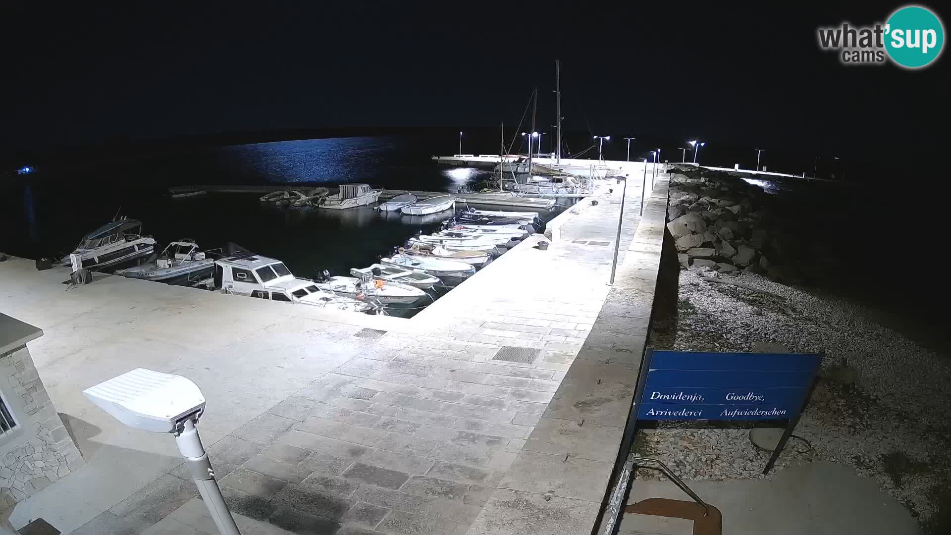 Unije Island Webcam – Explore the Beauty of Croatia’s Hidden Gem