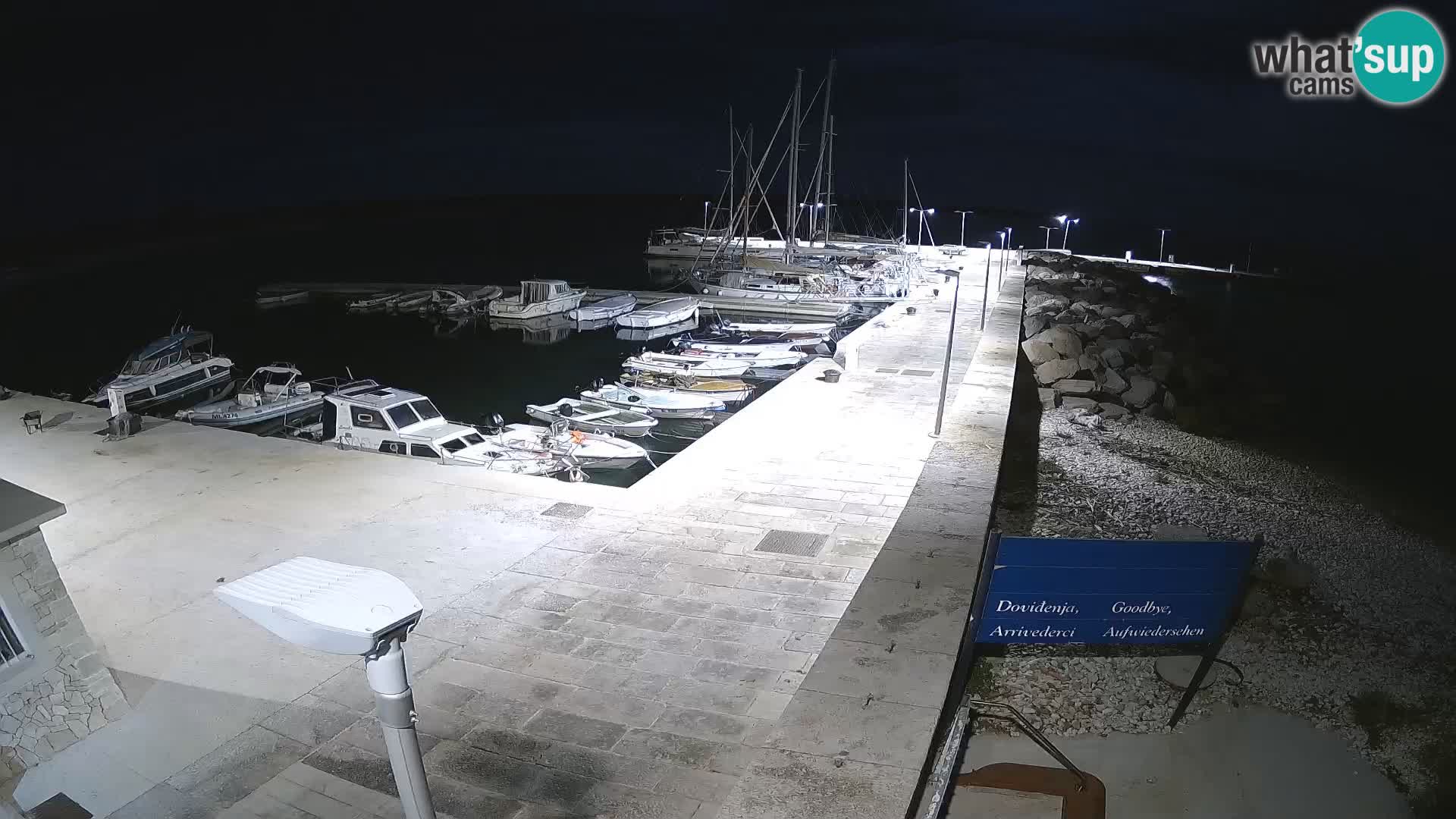 Cámara web de la isla de Unije: explore la belleza de la joya escondida de Croacia