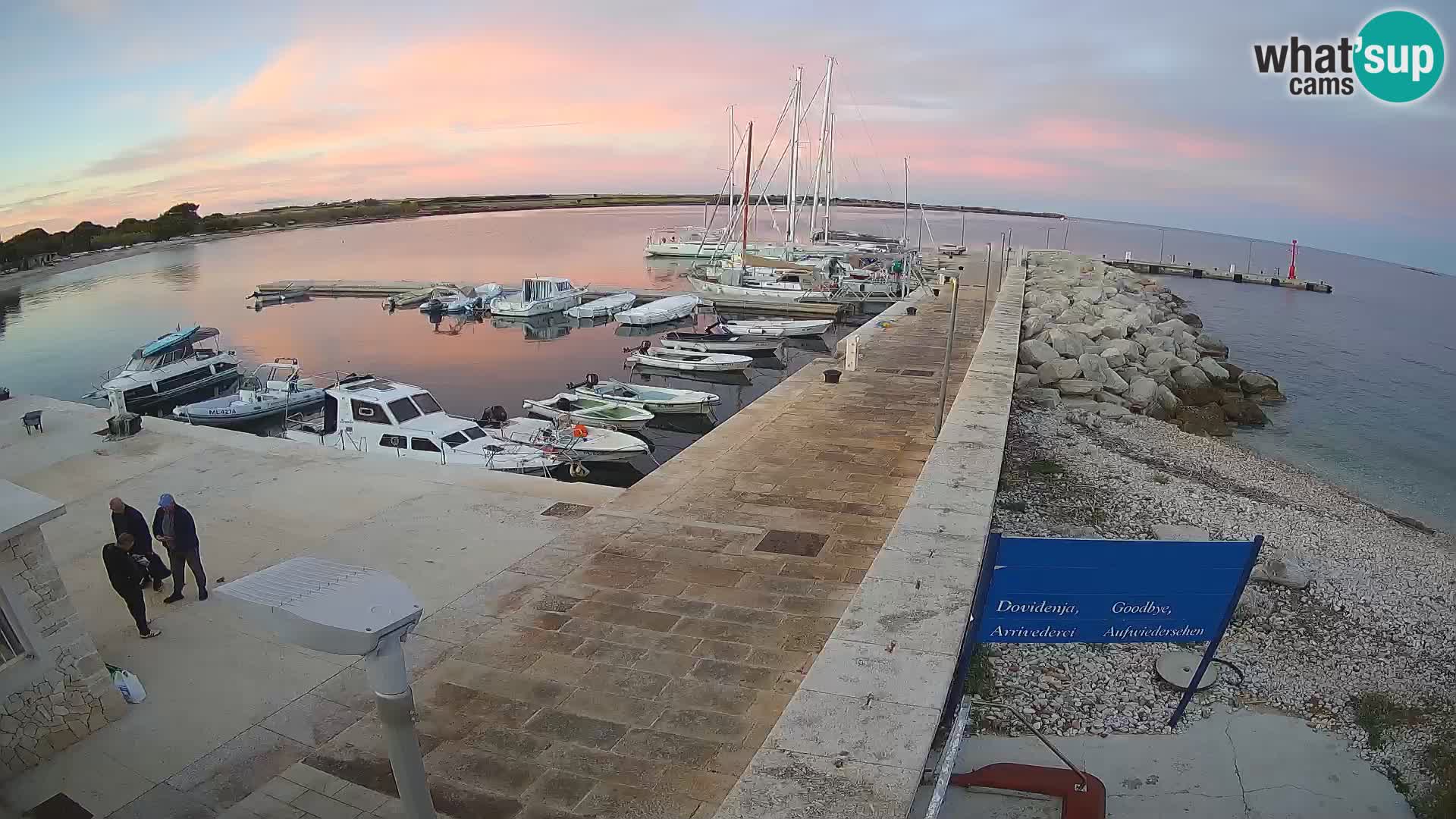 Cámara web de la isla de Unije: explore la belleza de la joya escondida de Croacia