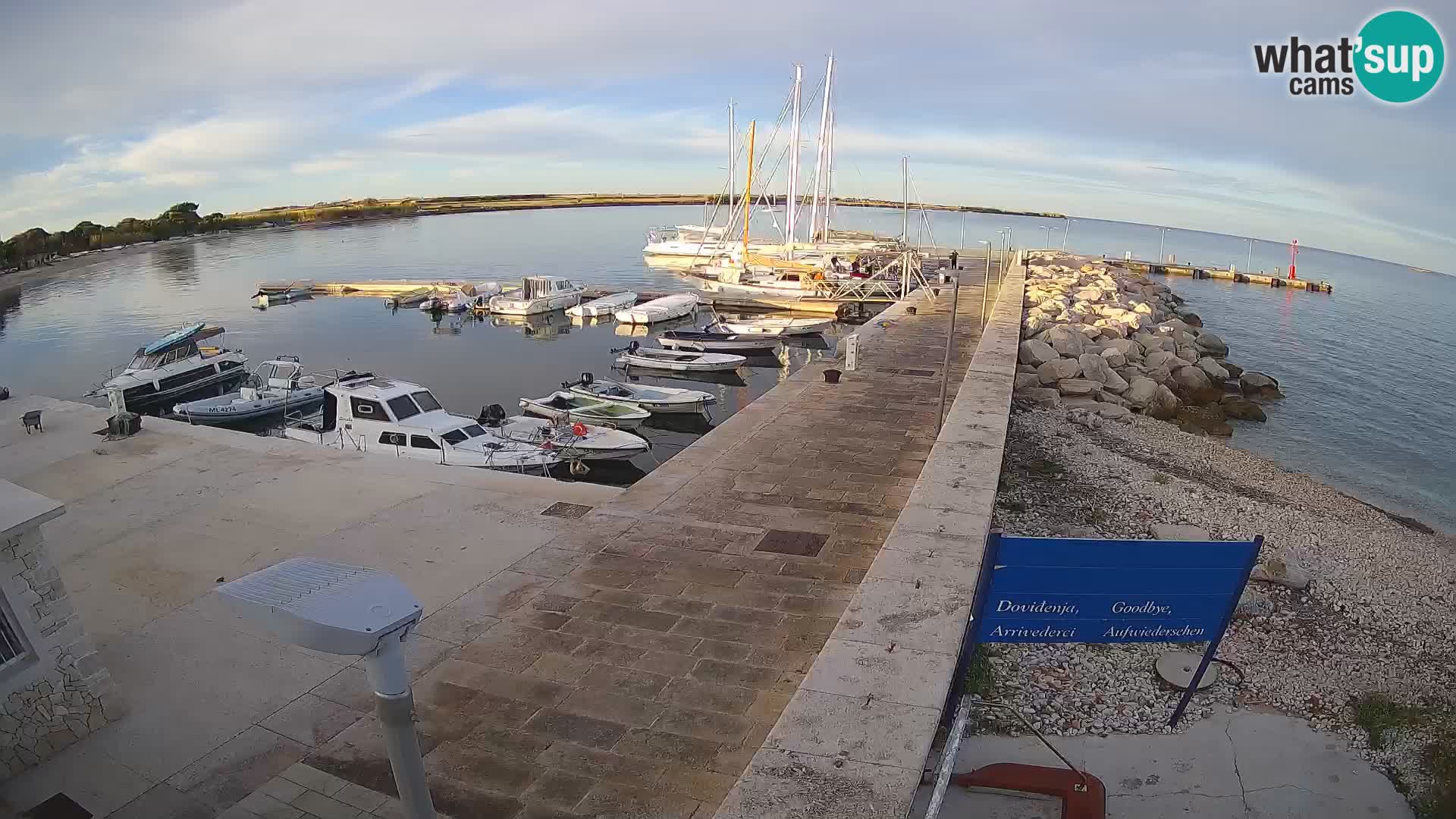 Cámara web de la isla de Unije: explore la belleza de la joya escondida de Croacia