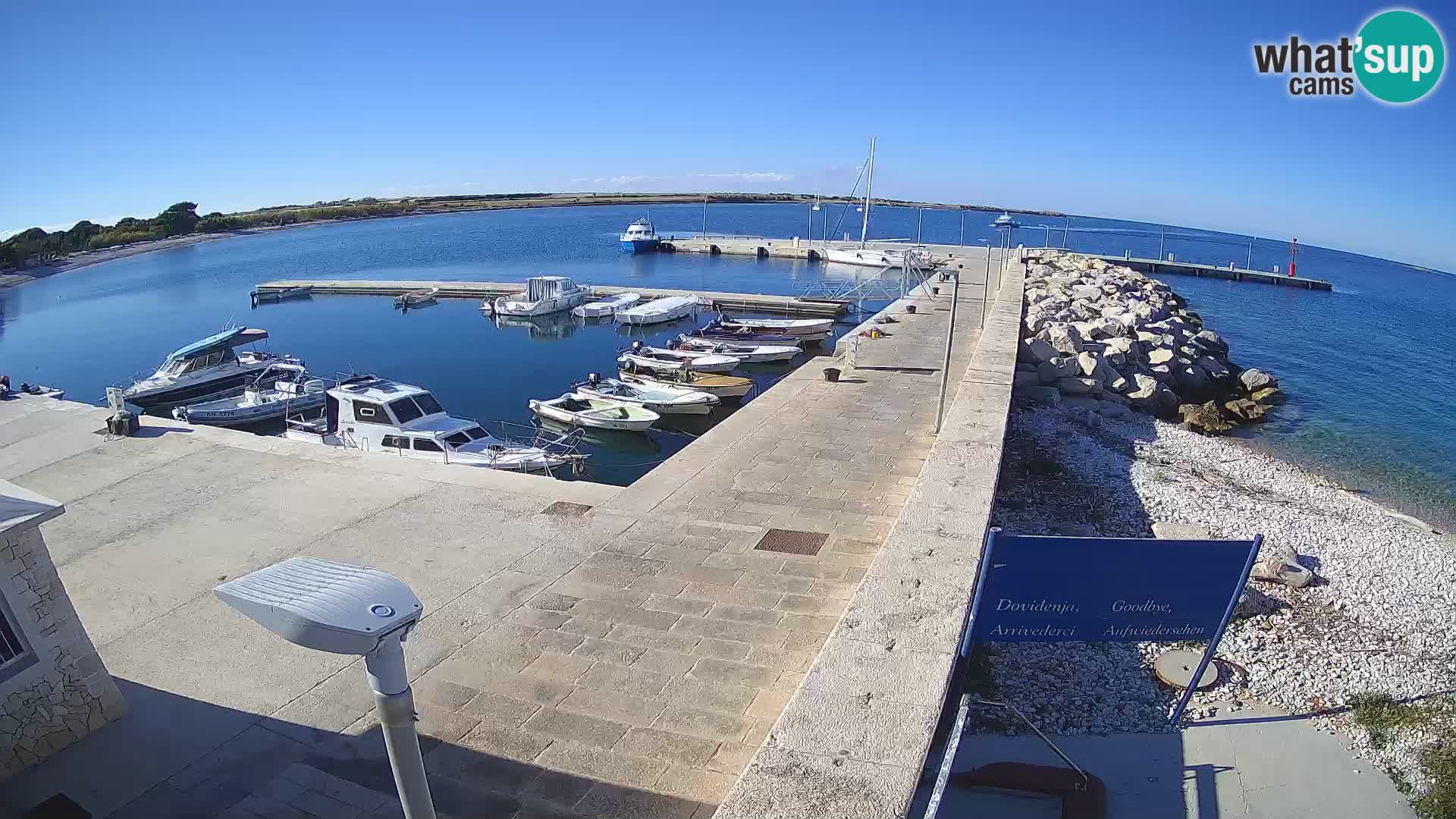 Cámara web de la isla de Unije: explore la belleza de la joya escondida de Croacia