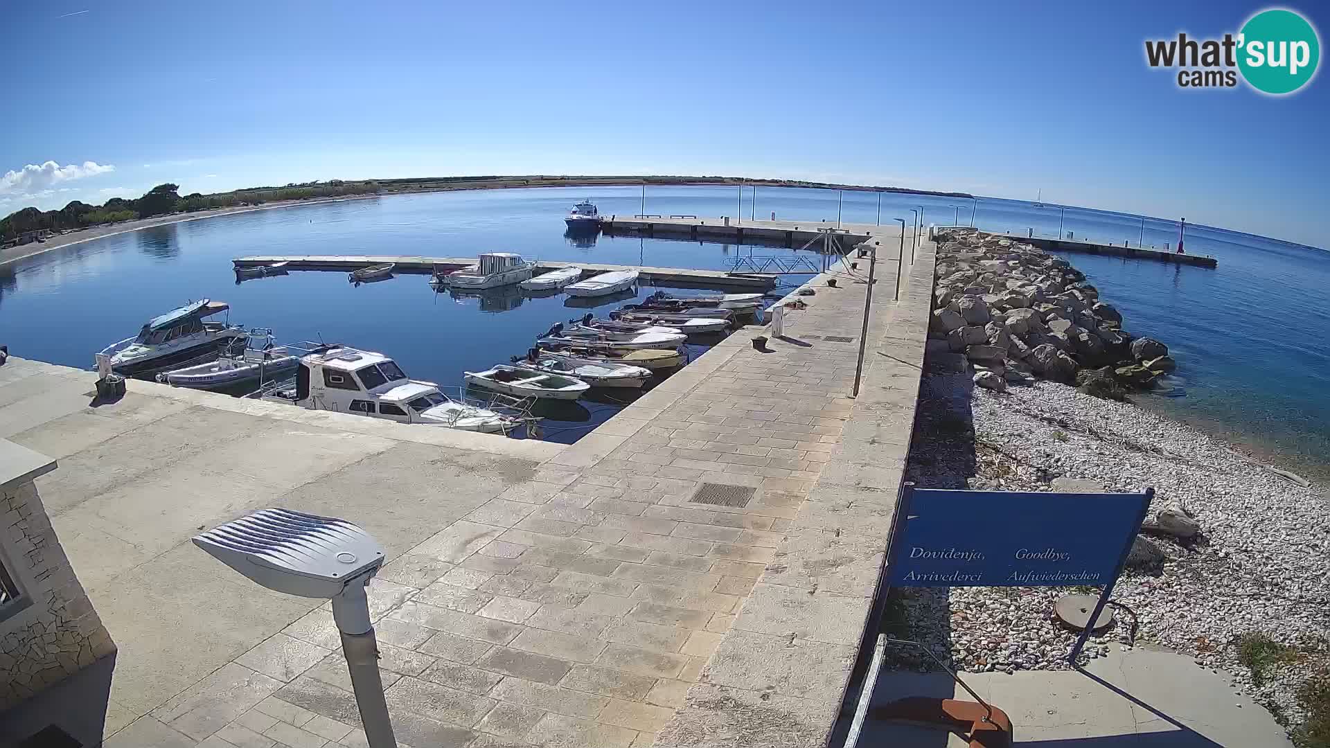 Cámara web de la isla de Unije: explore la belleza de la joya escondida de Croacia