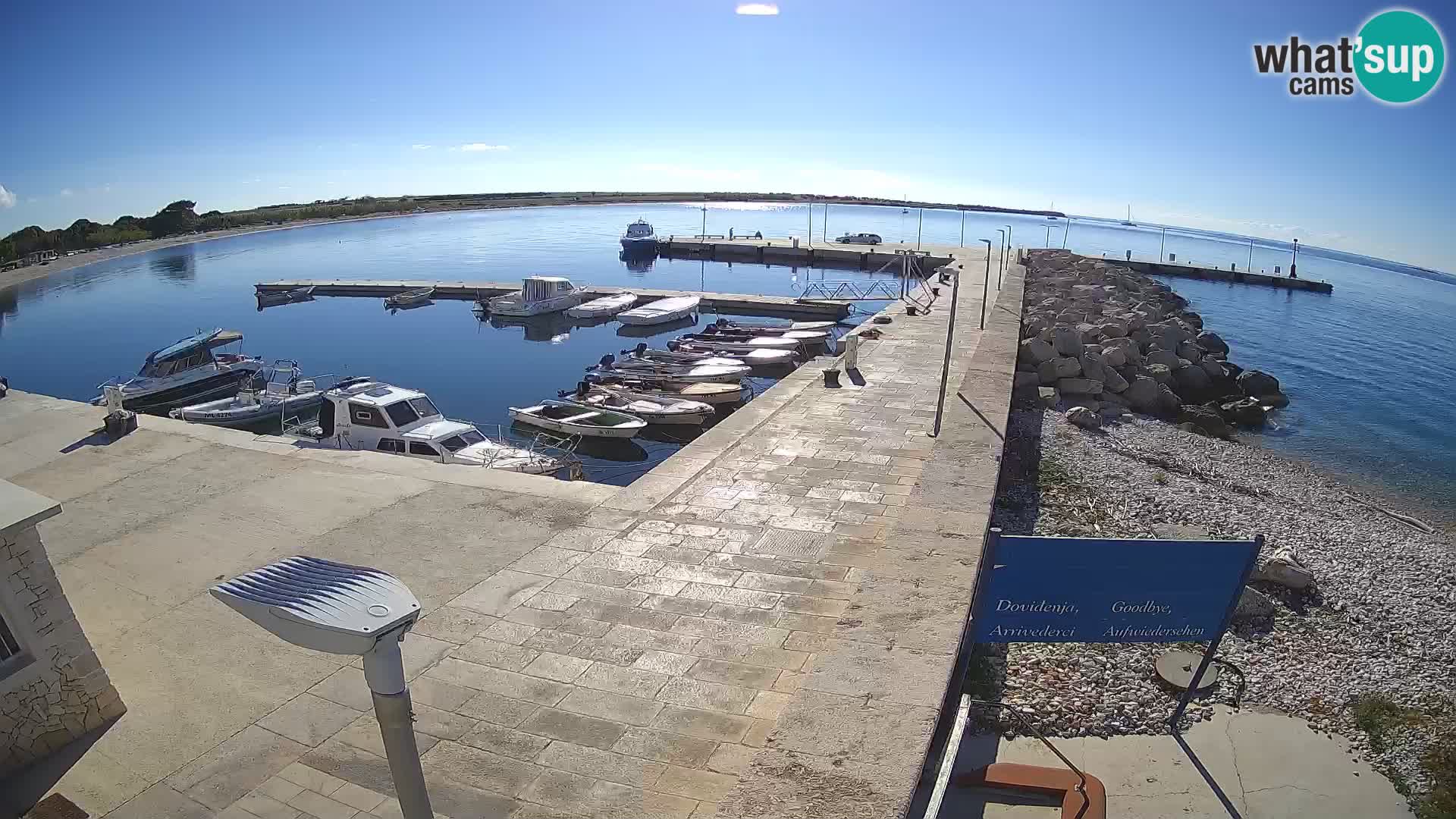 Webcam Isola di Unije – Esplora la bellezza della gemma nascosta della Croazia