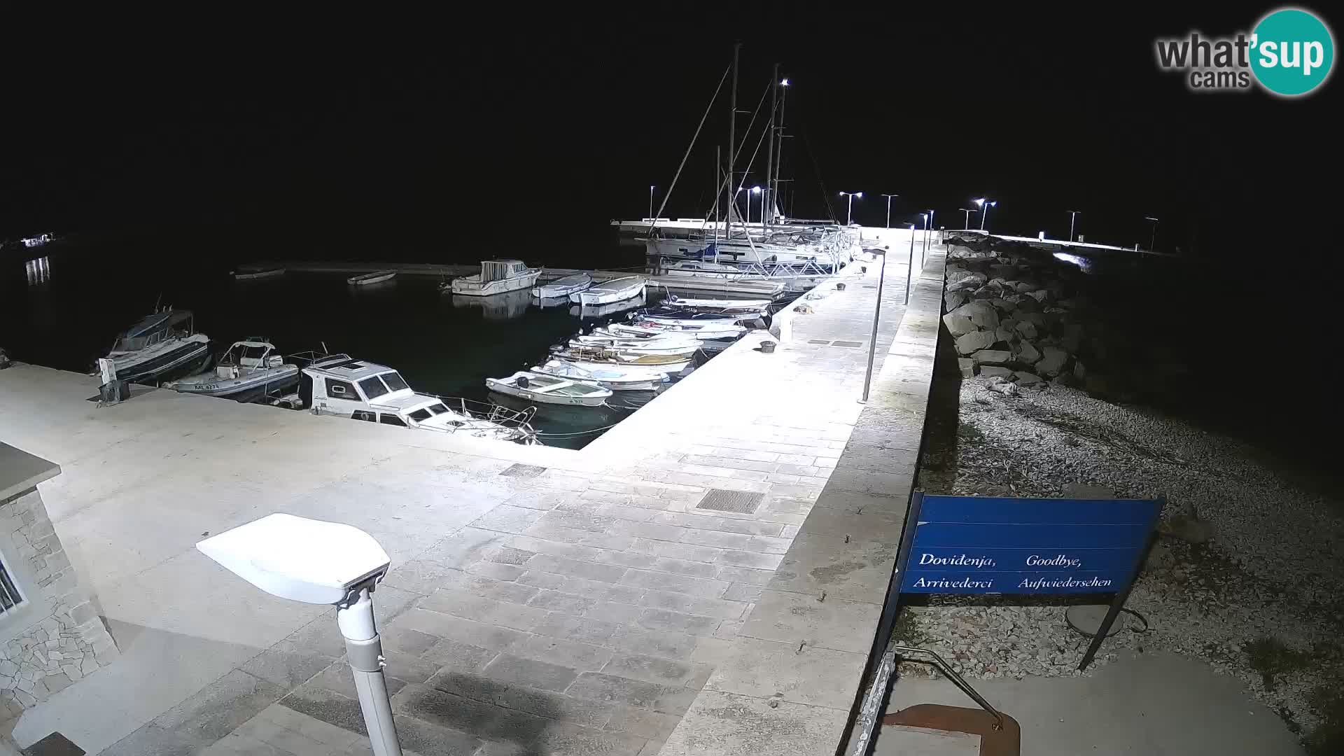 Cámara web de la isla de Unije: explore la belleza de la joya escondida de Croacia
