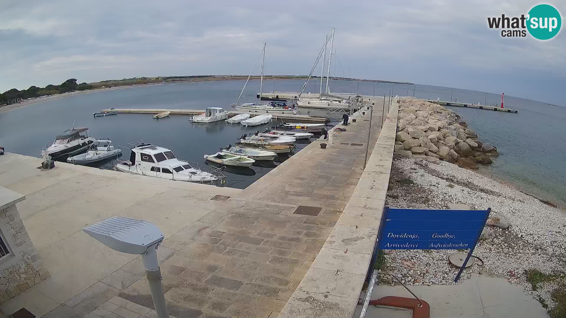 Webcam de l’île d’Unije – Explorez la beauté du joyau caché de la Croatie