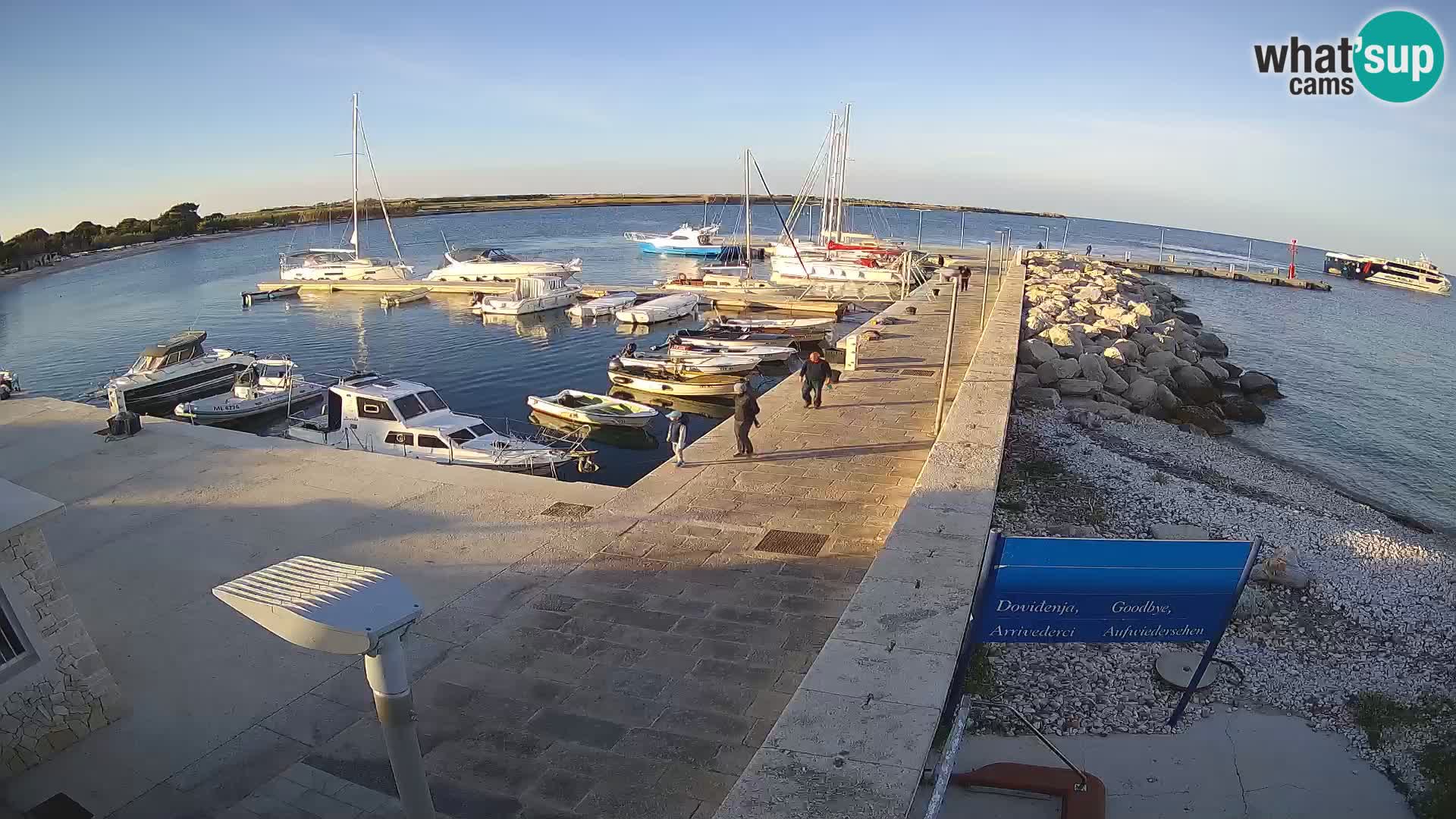 Cámara web de la isla de Unije: explore la belleza de la joya escondida de Croacia