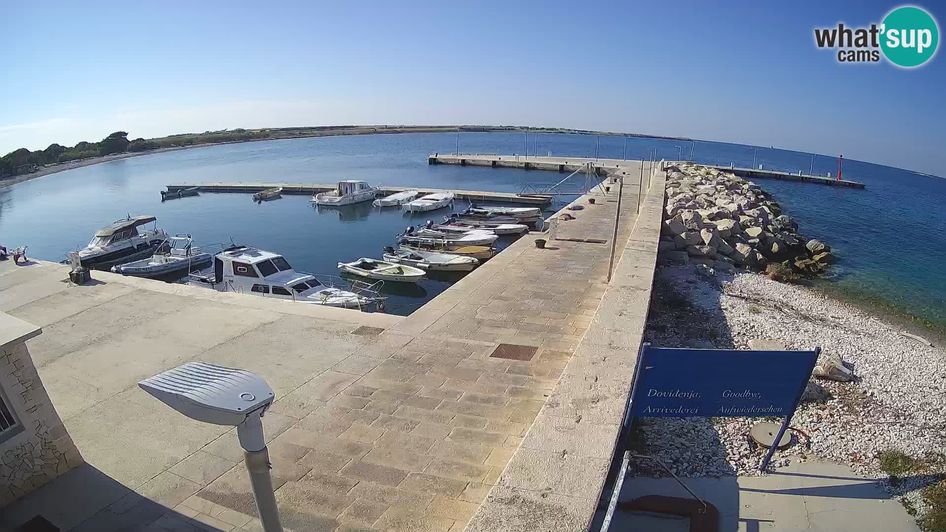 Cámara web de la isla de Unije: explore la belleza de la joya escondida de Croacia