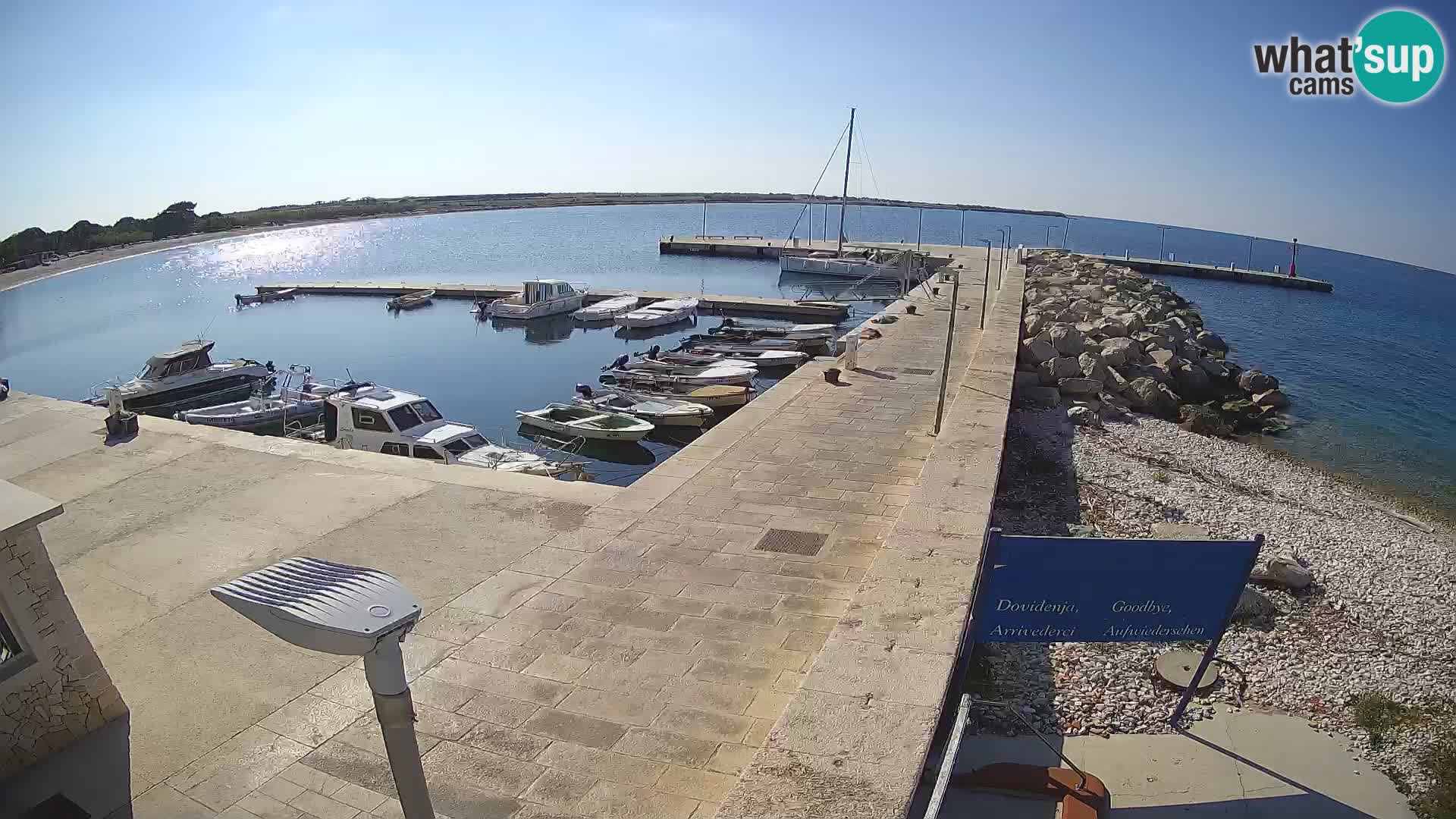Webcam Isola di Unije – Esplora la bellezza della gemma nascosta della Croazia