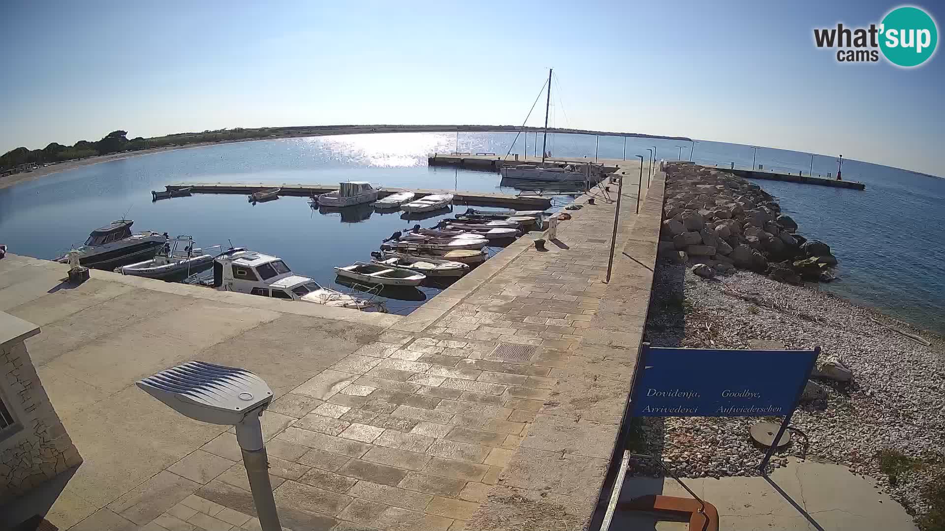 Cámara web de la isla de Unije: explore la belleza de la joya escondida de Croacia