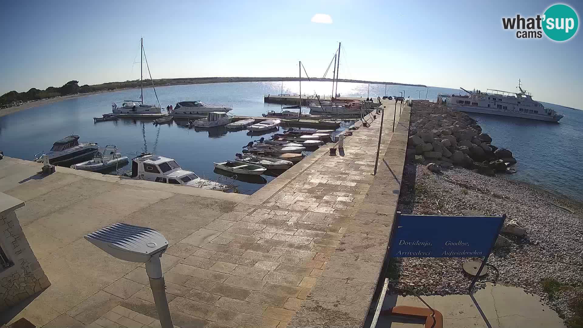 Cámara web de la isla de Unije: explore la belleza de la joya escondida de Croacia