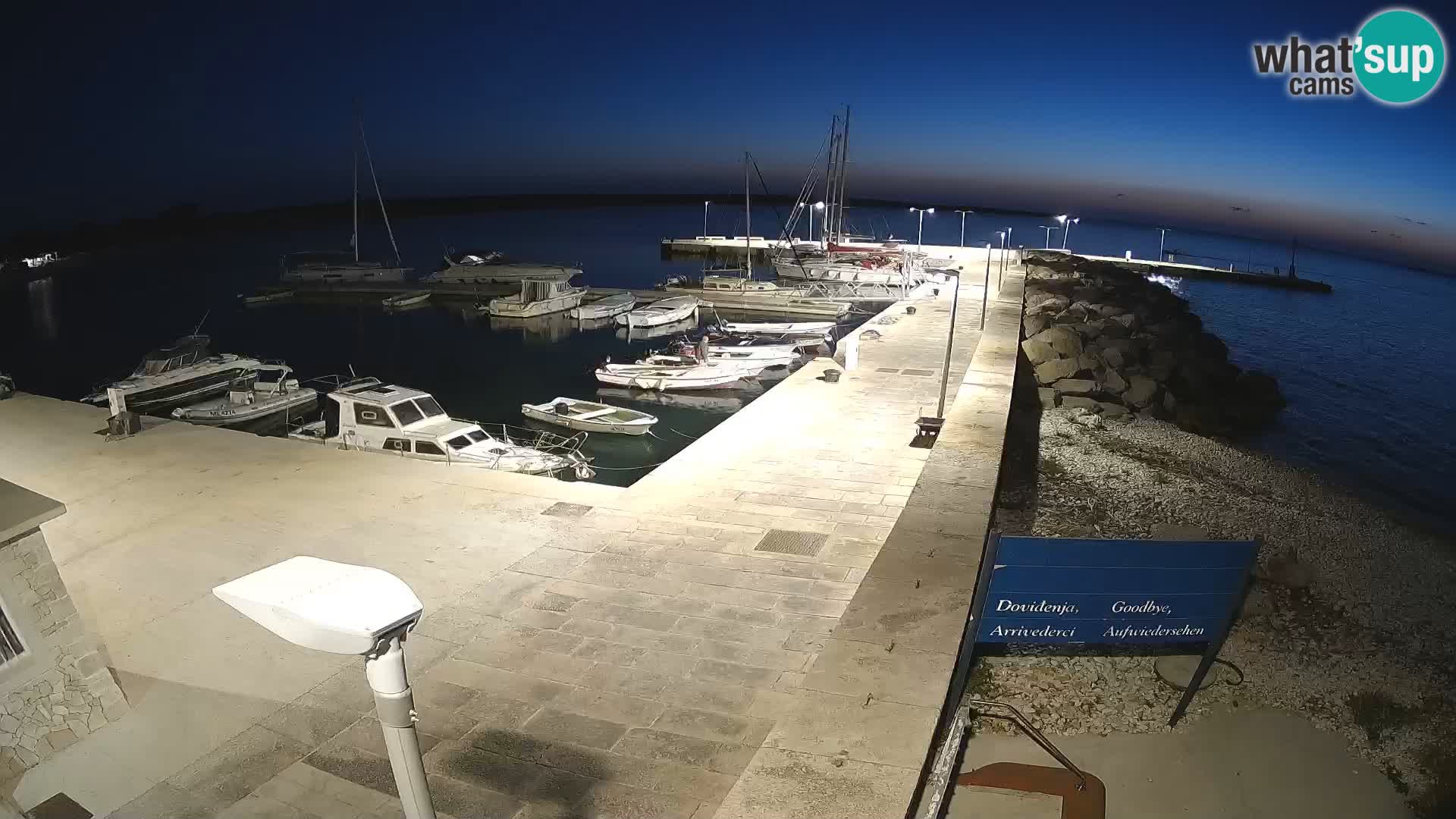 Webcam Isola di Unije – Esplora la bellezza della gemma nascosta della Croazia